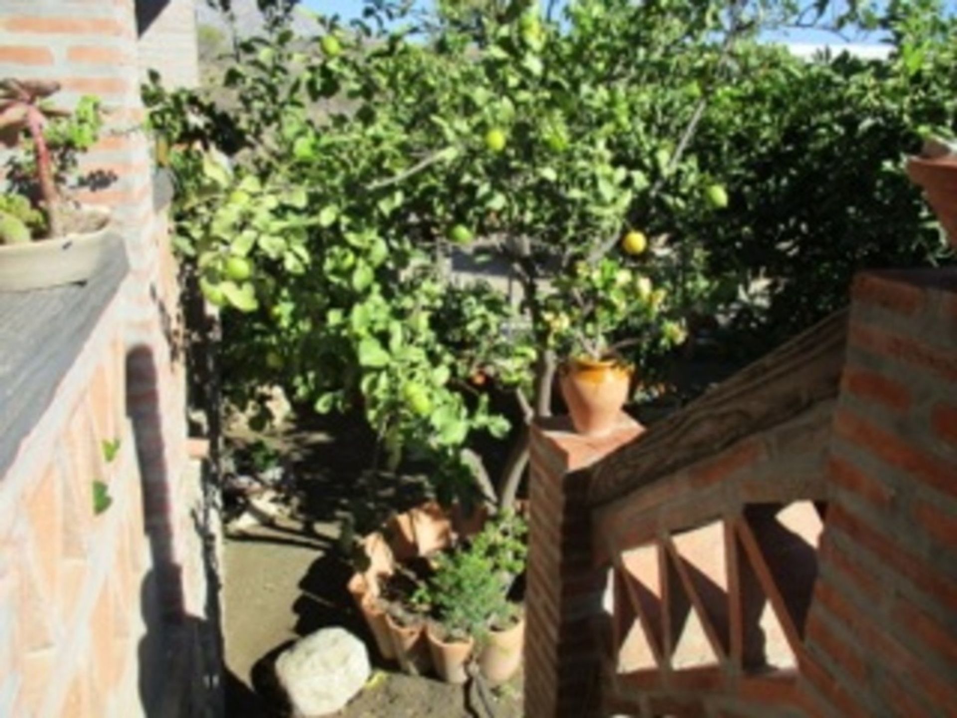 House in Bermejo, Andalucía 11270496