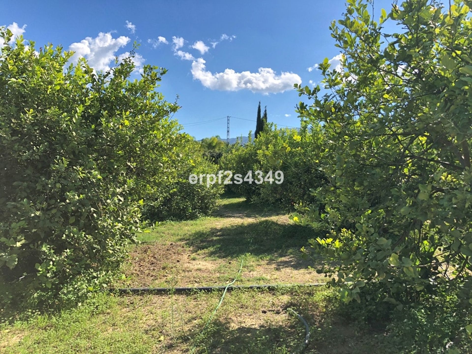 House in Cártama, Andalucía 11270965