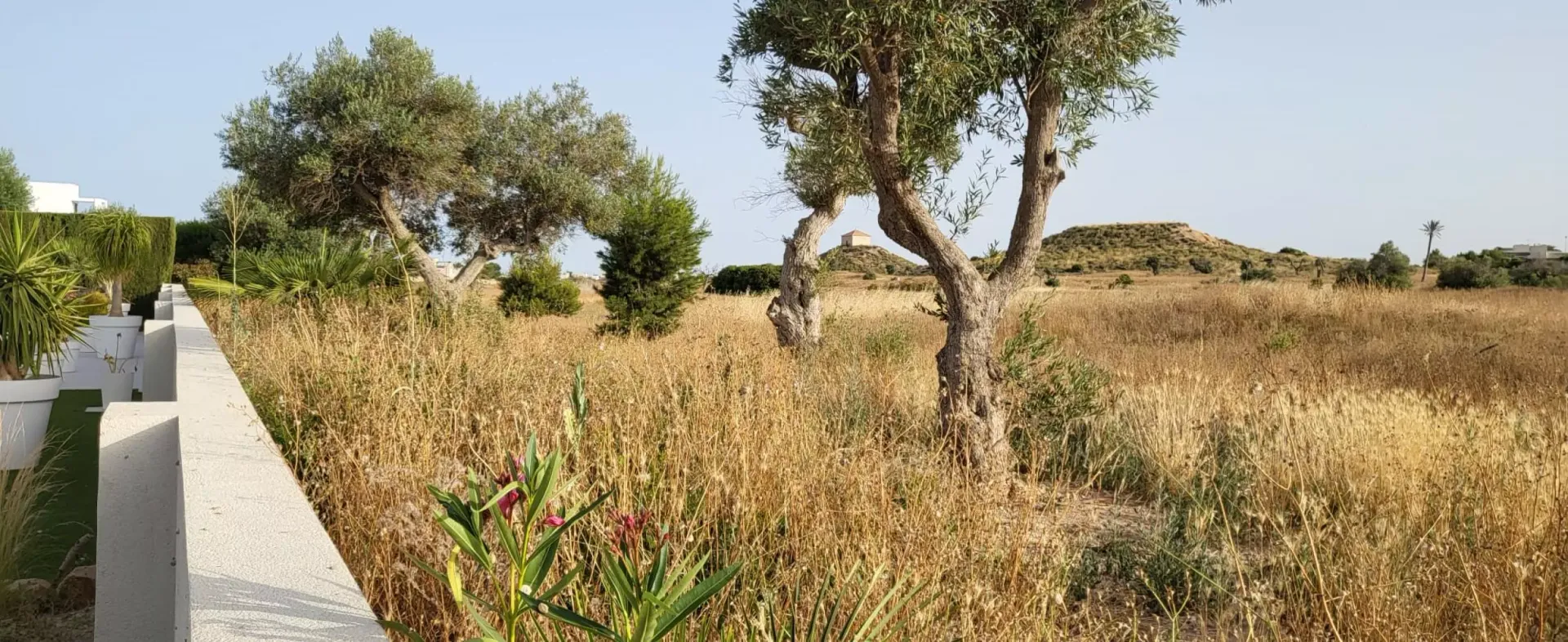 집 에 Torre-Pacheco, Región de Murcia 11274922