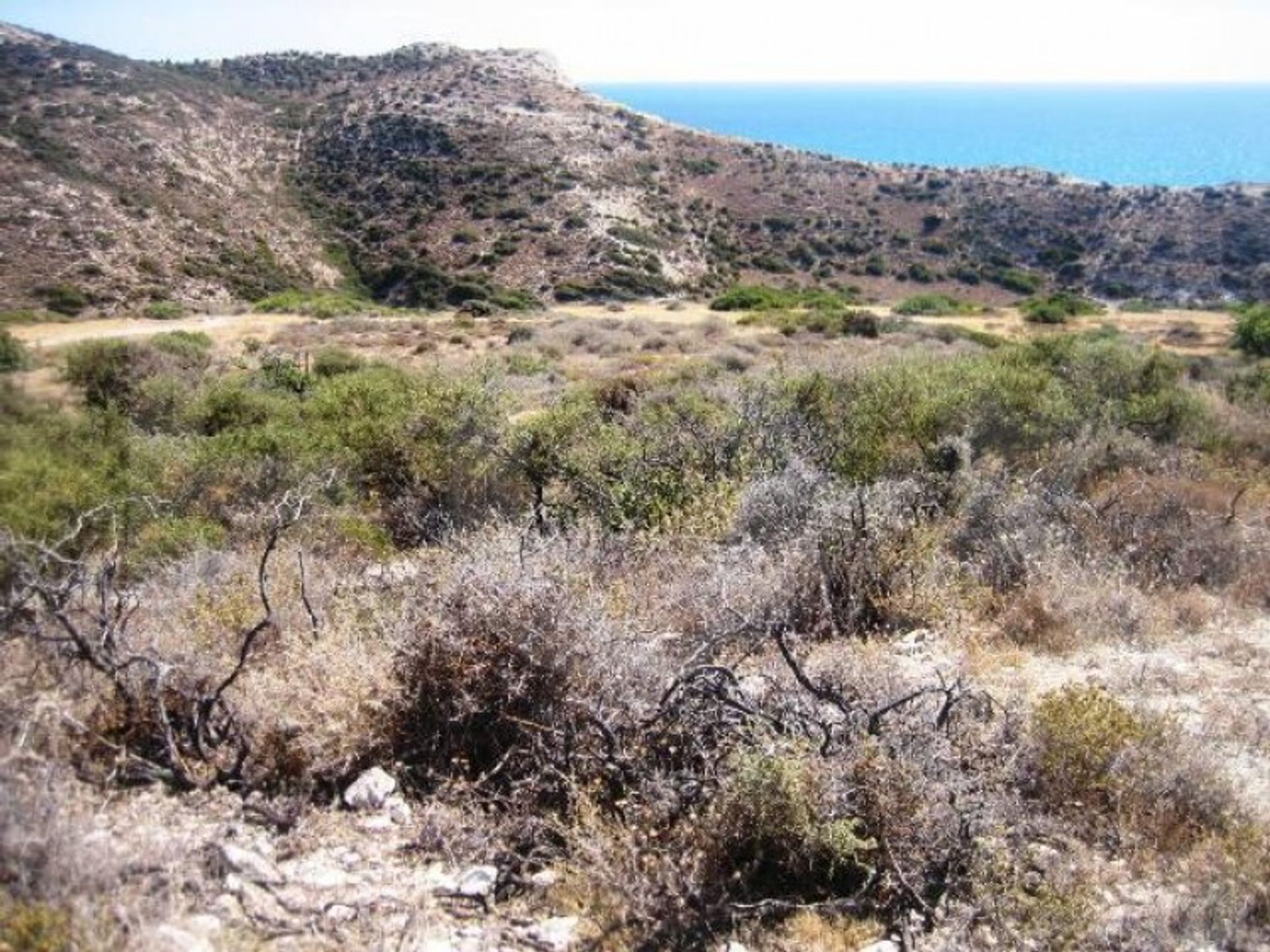 Land i Pissouri, Limassol 11275033