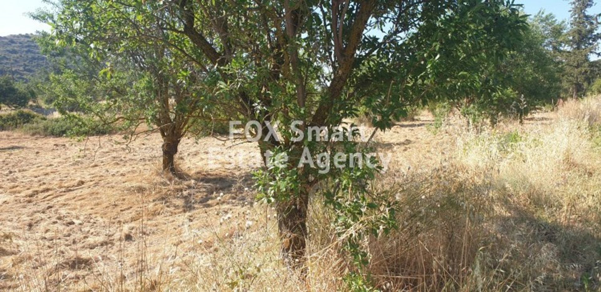 Land in Palodeia, Lemesos 11275259