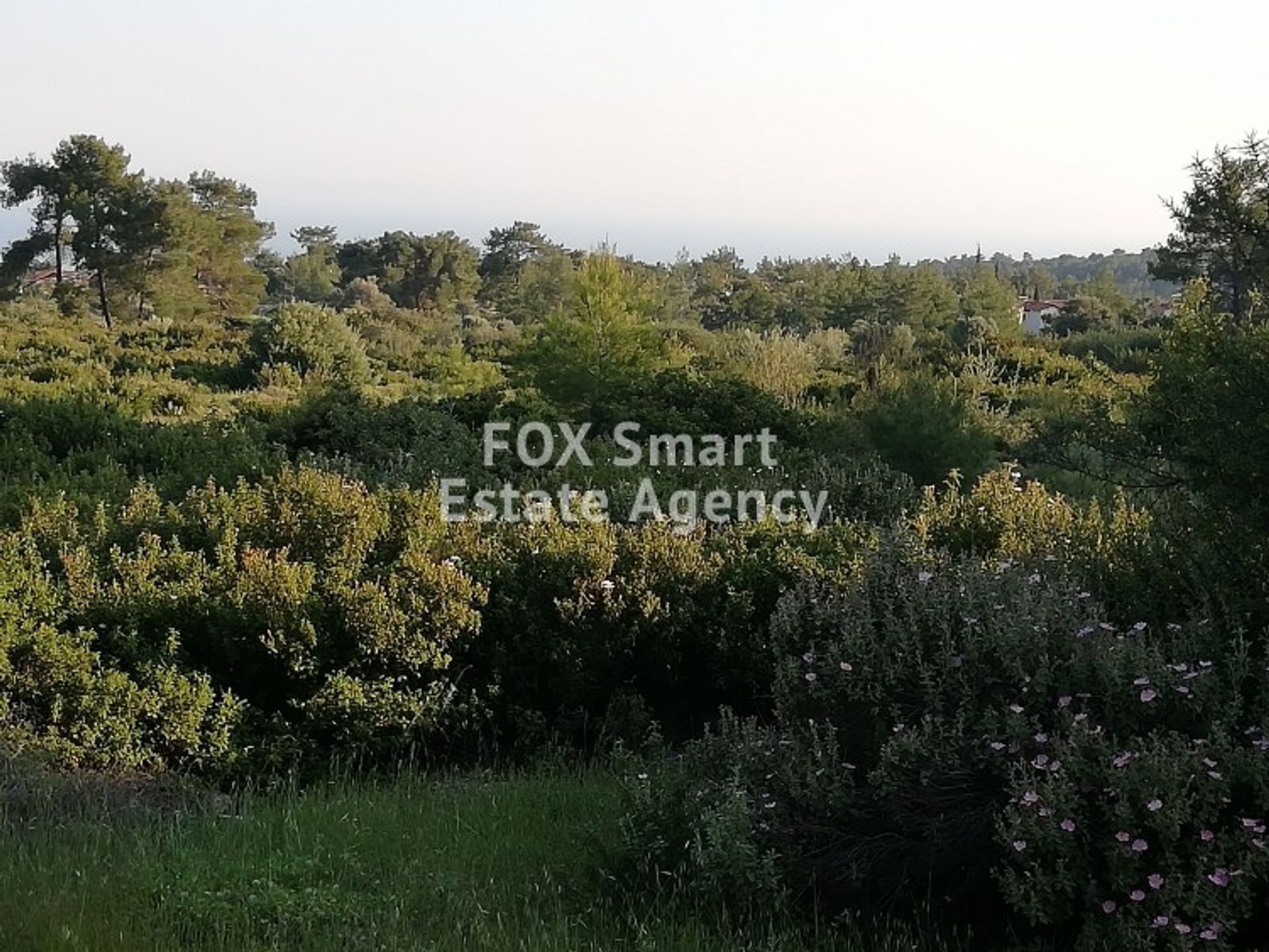 Land in Pyrgos, Larnaka 11275264