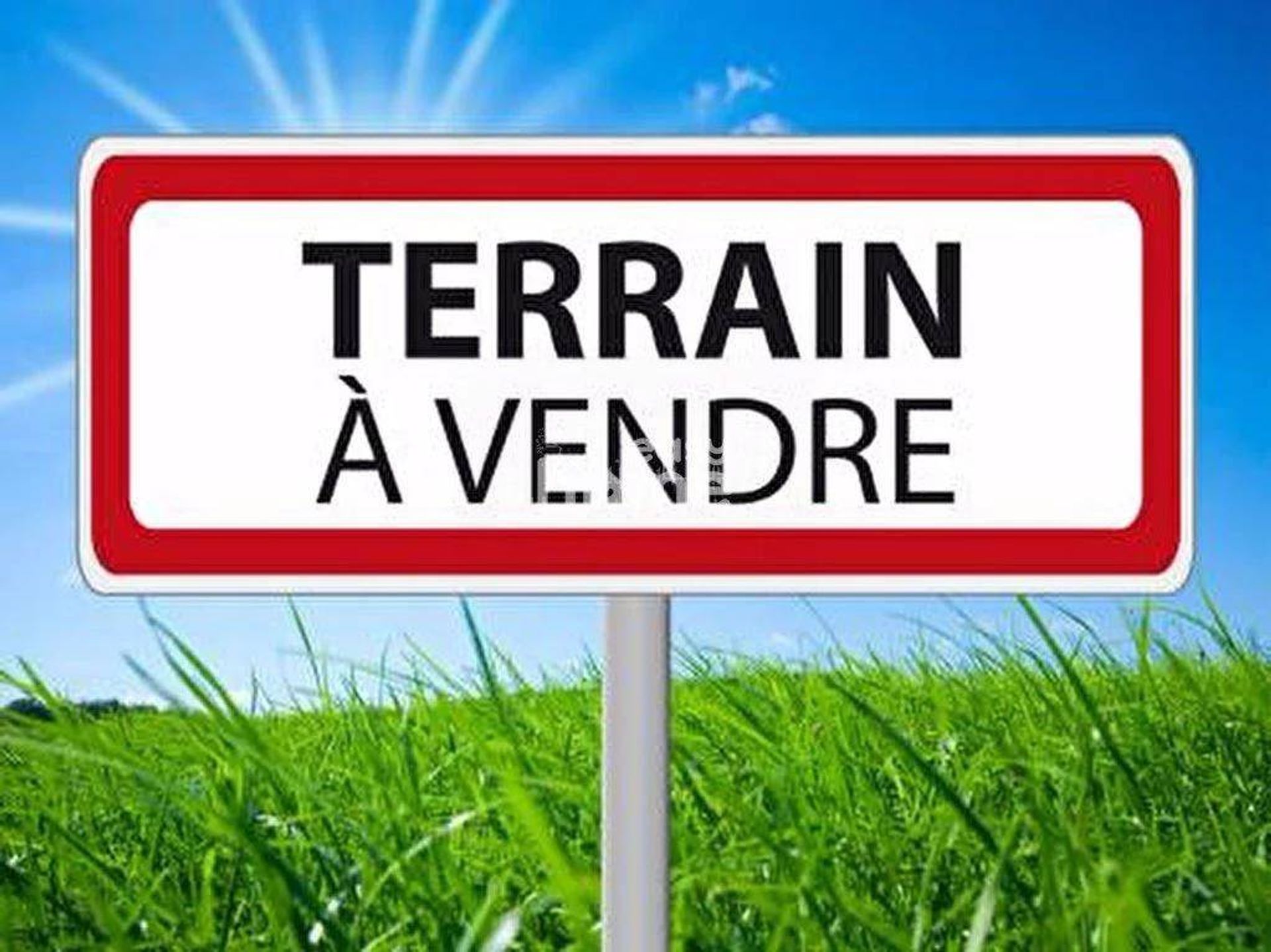 Terre dans Kalaa Srira, Sousse 11275678