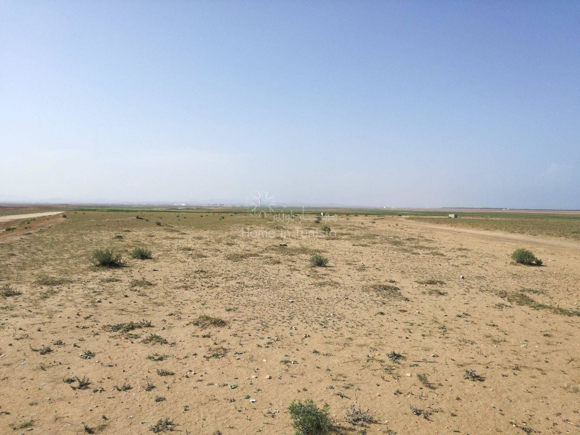 Land in Harqalah, Sousse 11275793