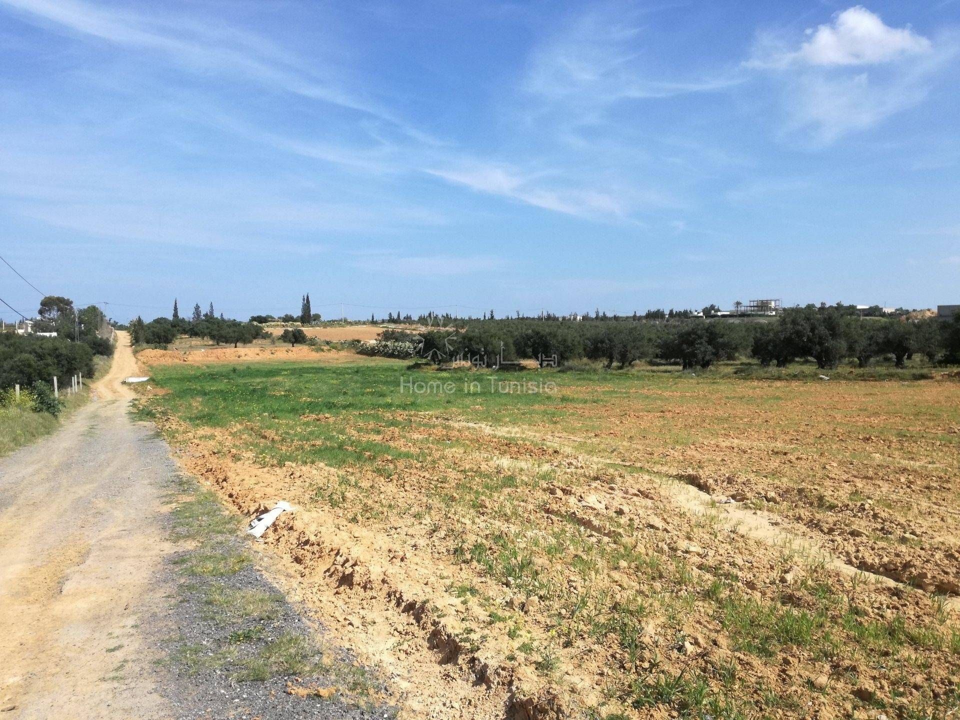 Land in Akouda, Sousse 11275812