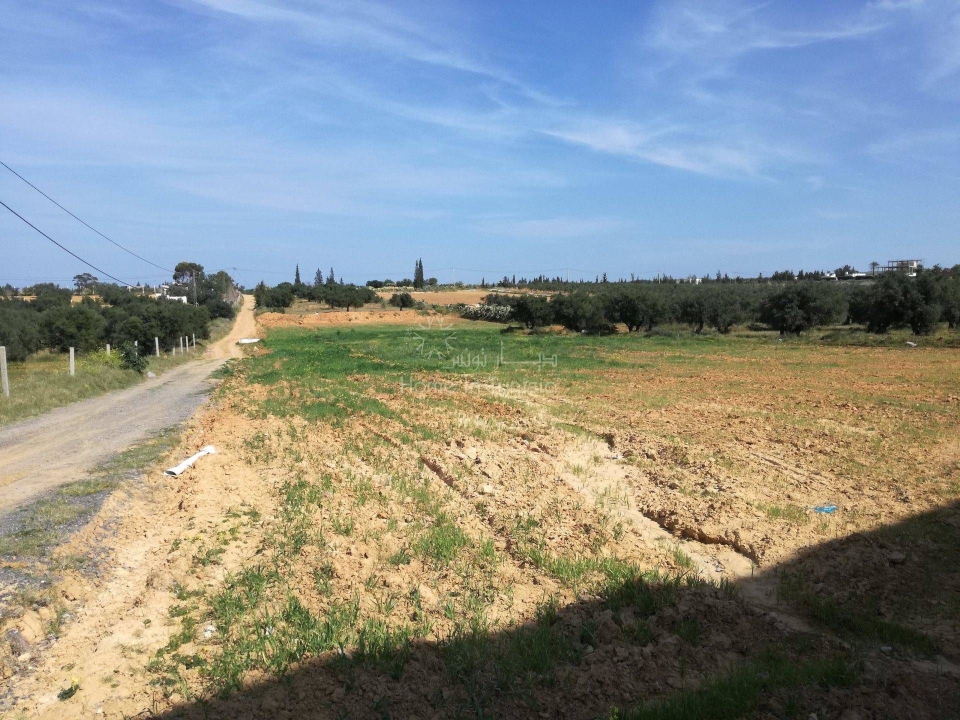 Land in Akouda, Sousse 11275812