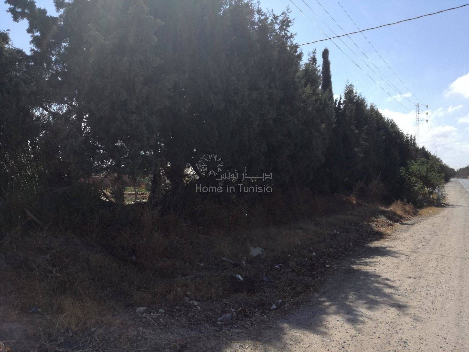 Land in Monastir, Monastir 11275840