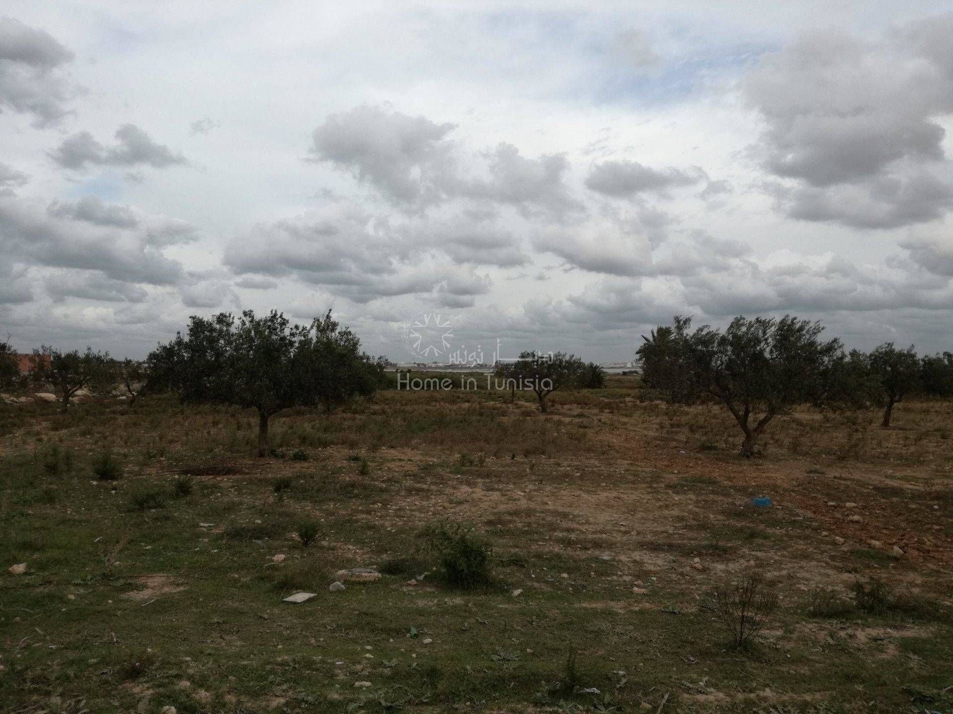 Land in Sahline, Monastir 11275868