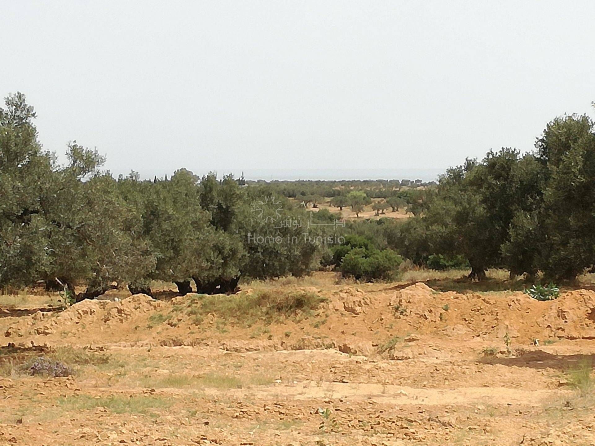 Land in Akouda, Sousse 11275954