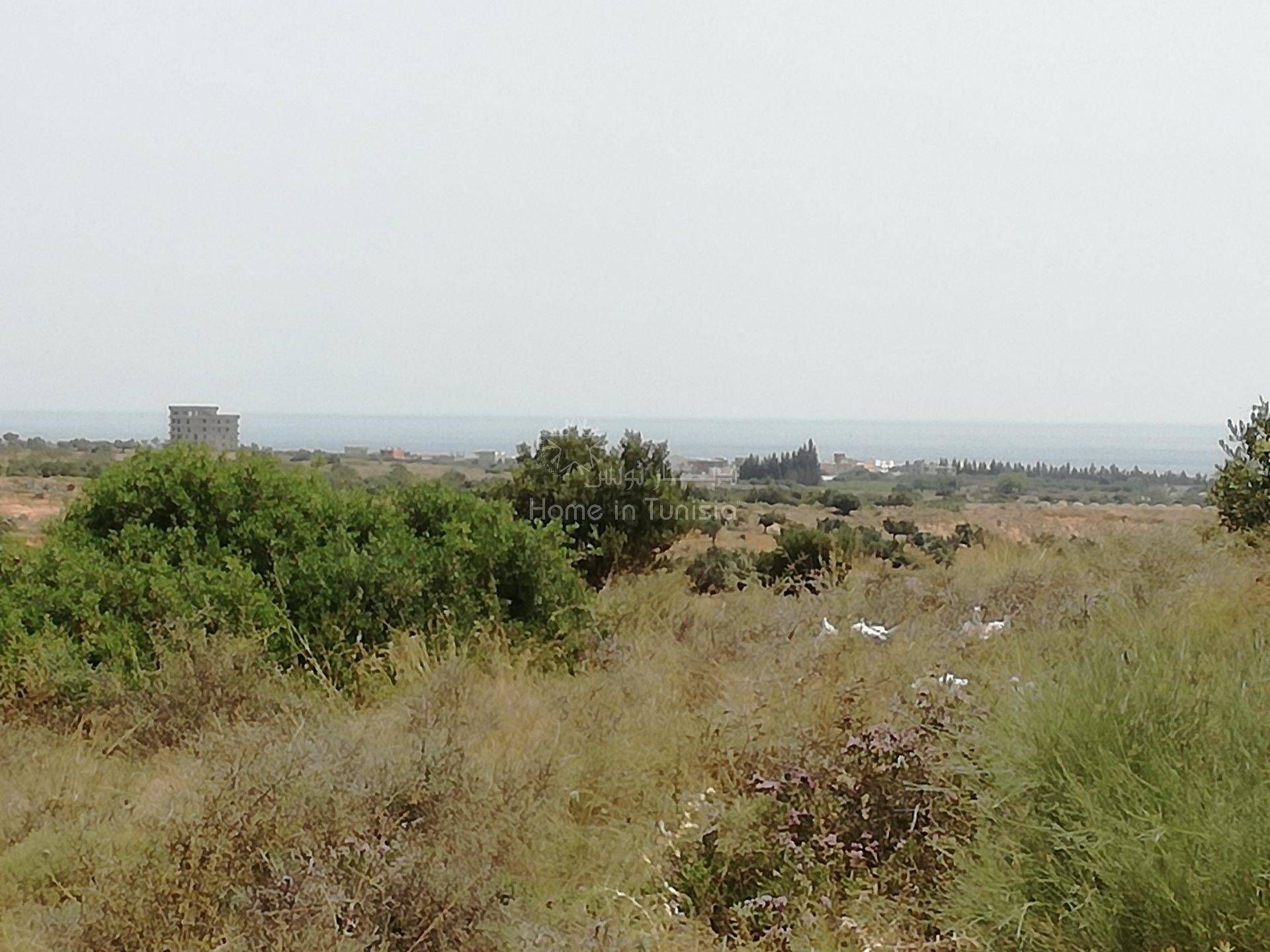 Land in Akouda, Sousse 11275954