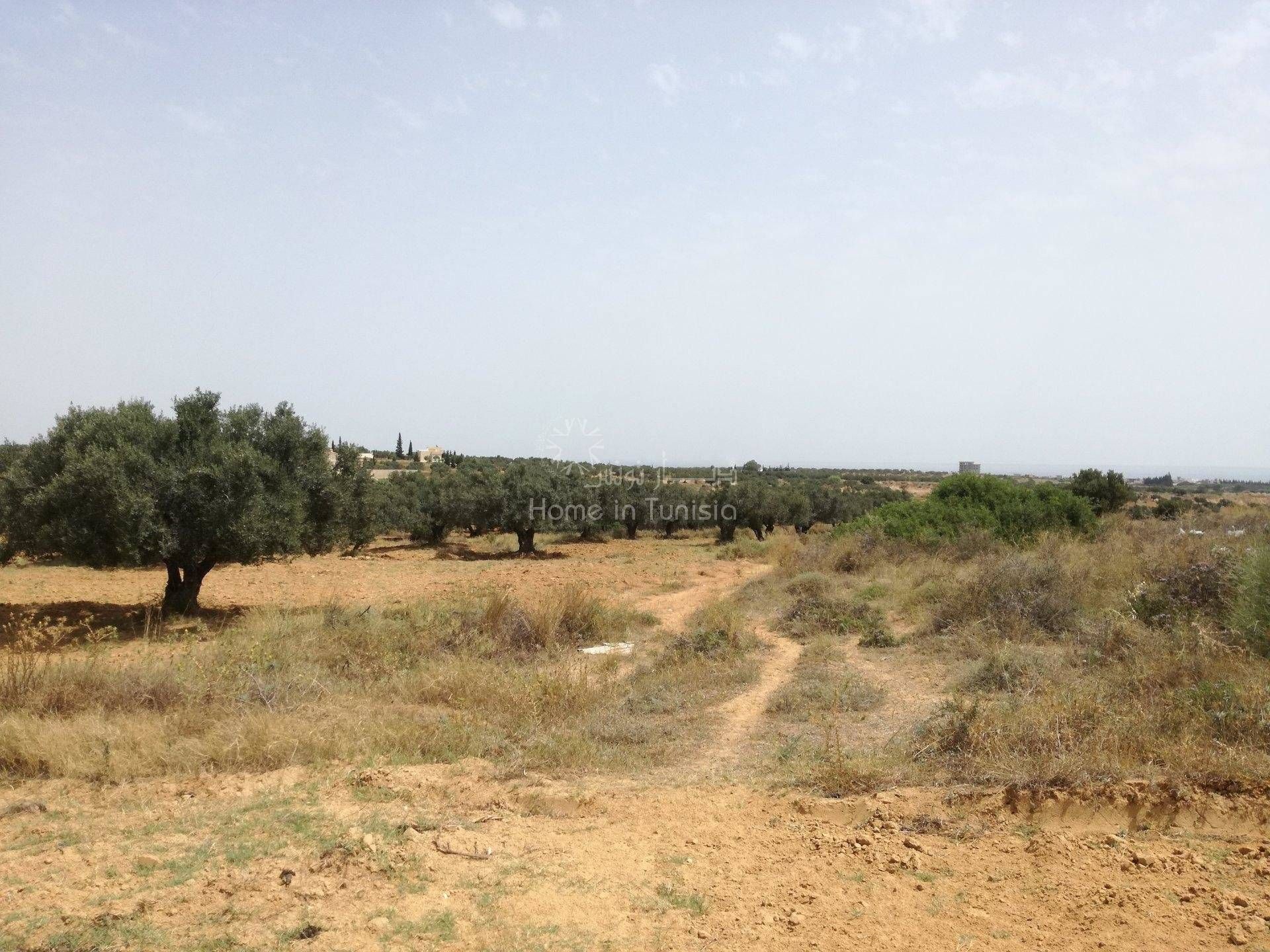 Land in Akouda, Sousse 11275954