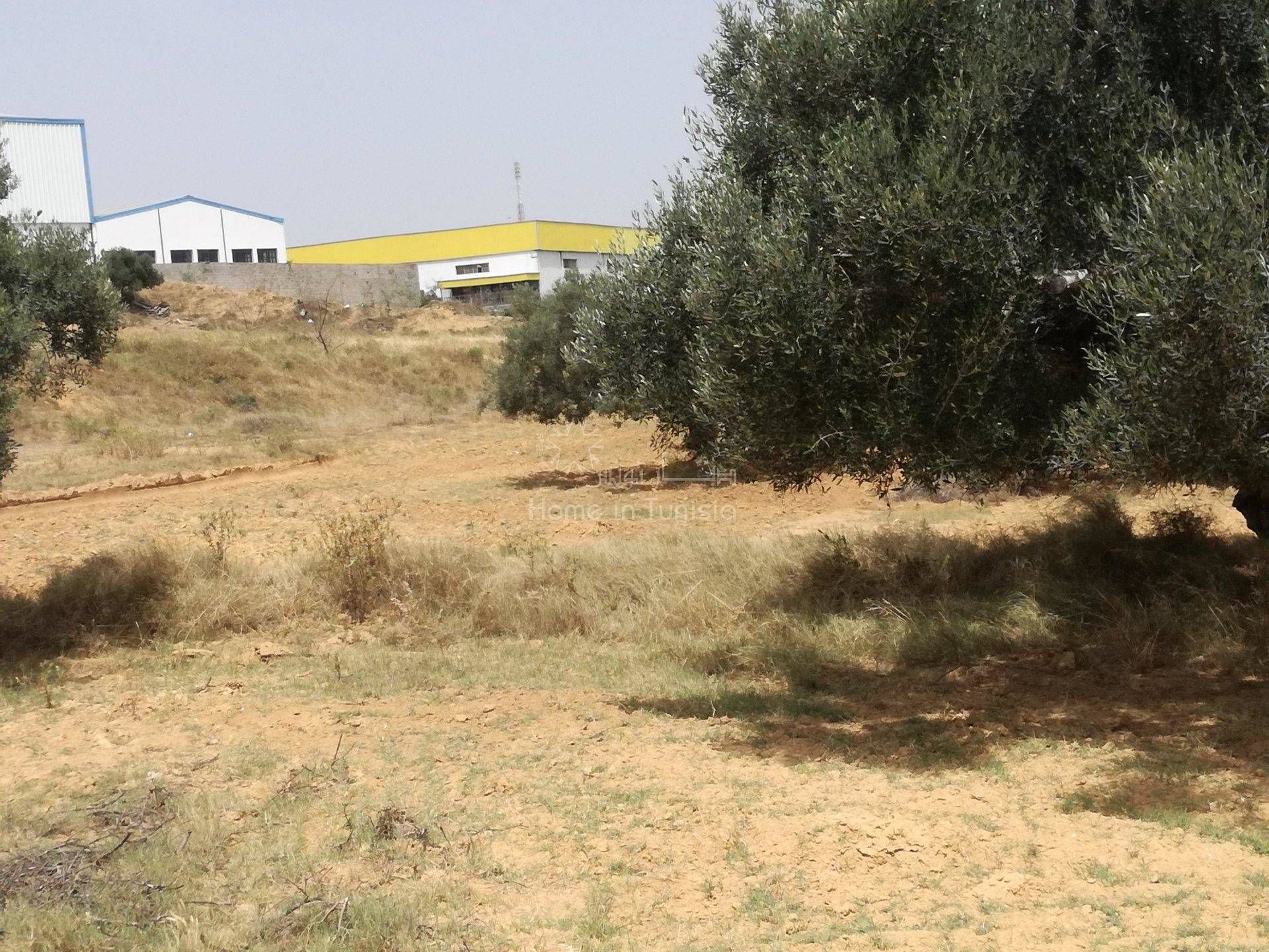 Land in Akouda, Sousse 11275954