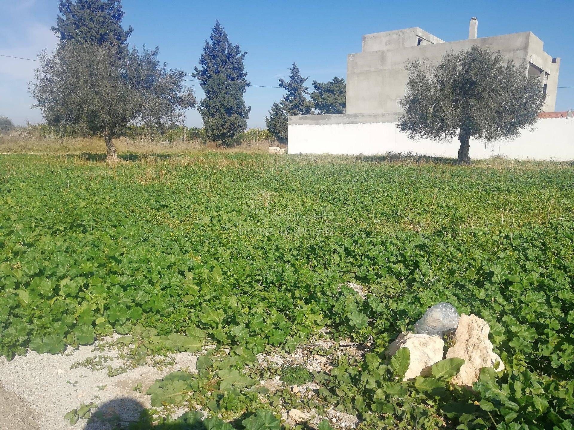 Land im El Haj Mohammed Zarrouch, Sousse 11276168