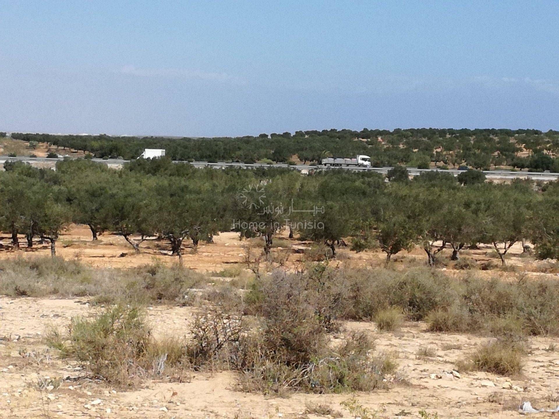 Land in Sidi Bou Ali, Gouvernorat de Sousse 11276235