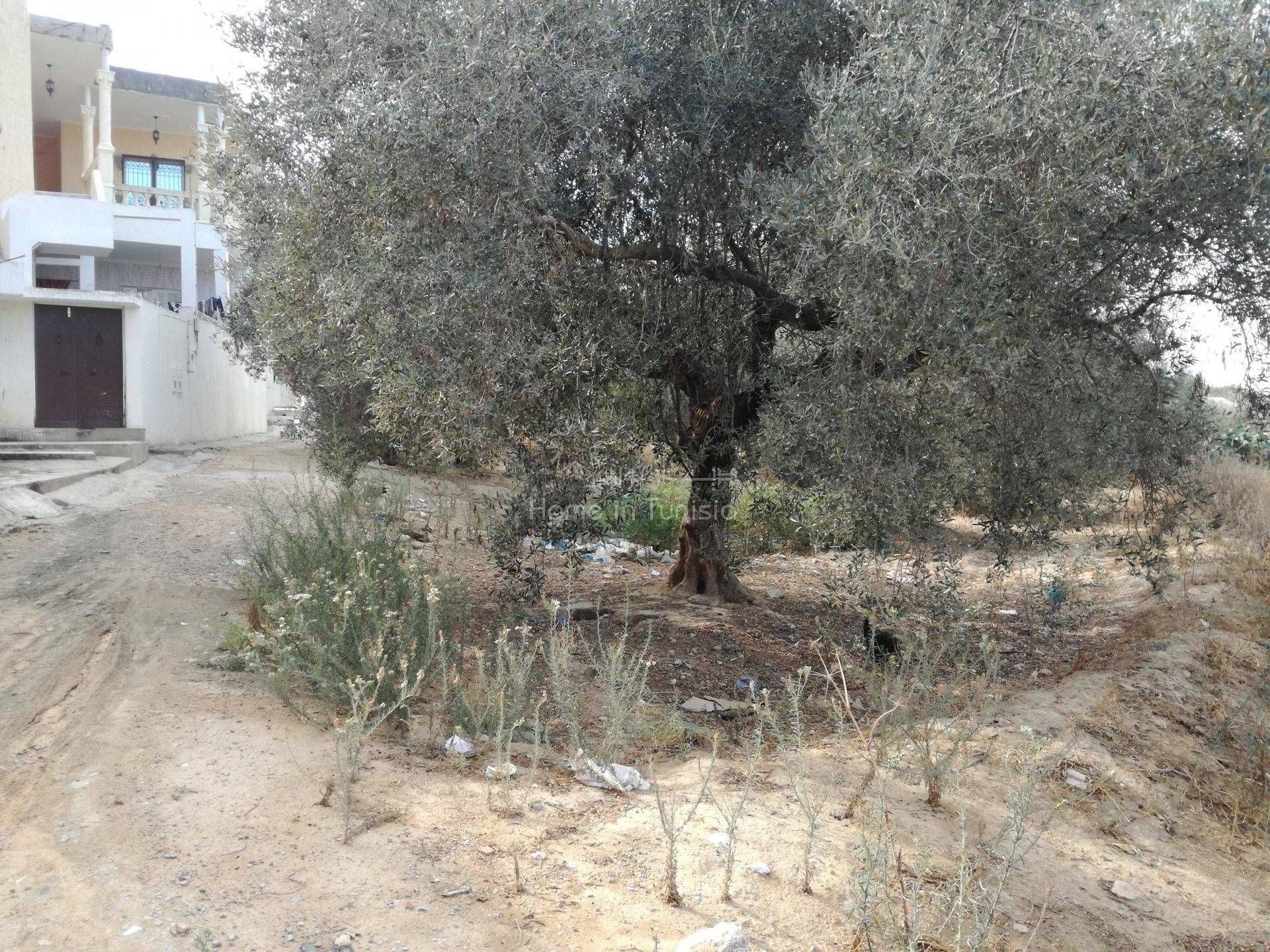 Land in Akouda, Sousse 11276473