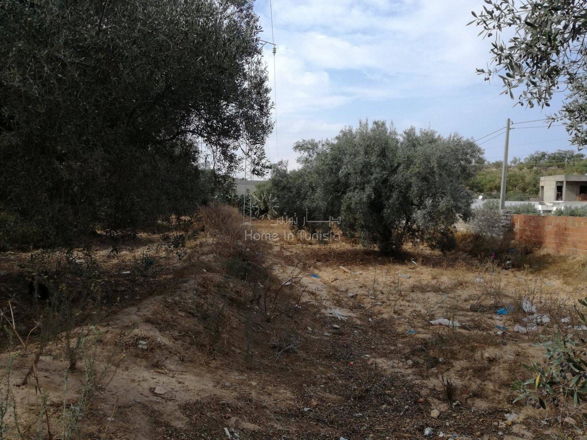 Land in Akouda, Sousse 11276473