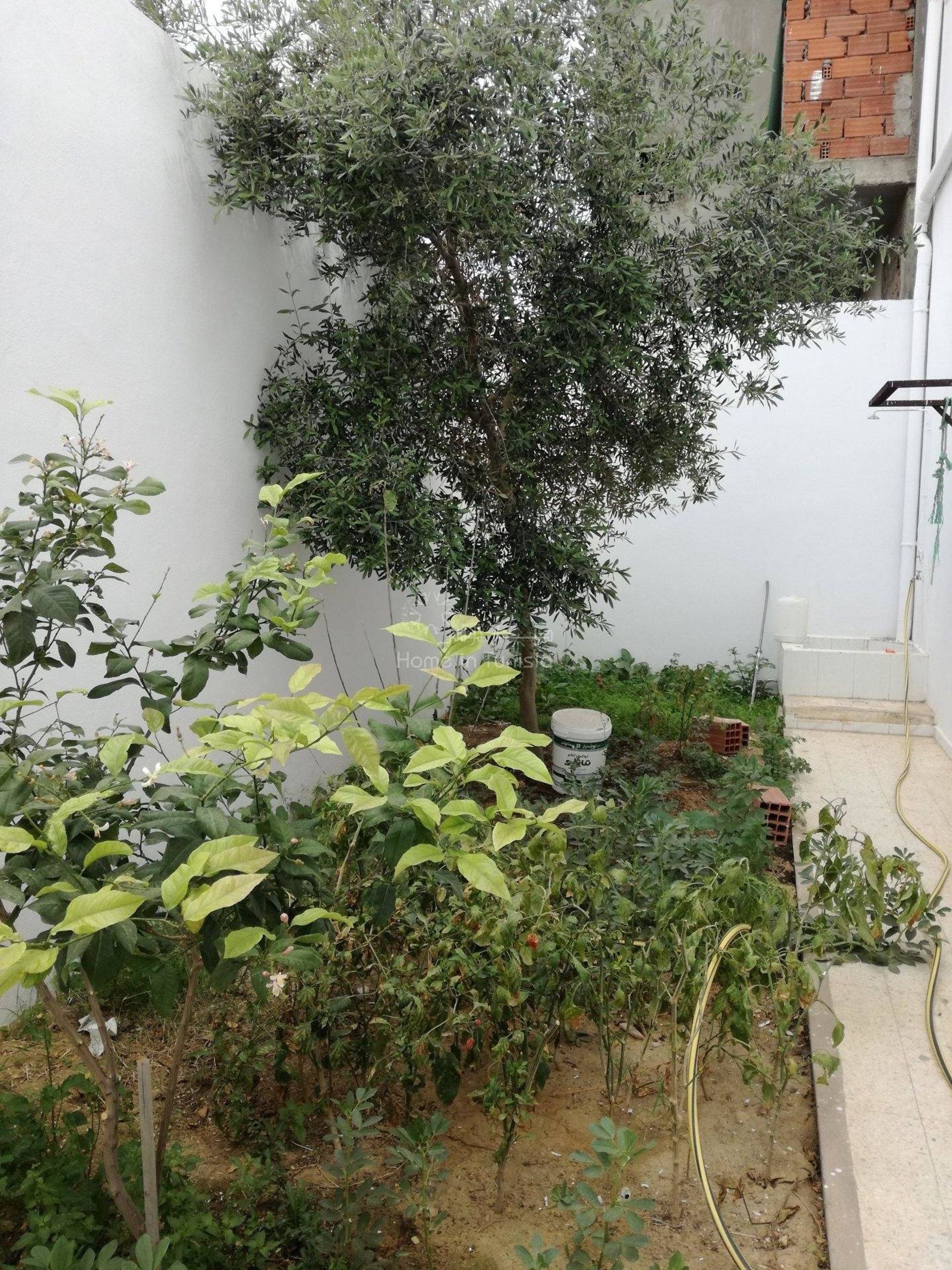 Huis in Zaouit-Ksibat - Thrayett, Sousse 11276503