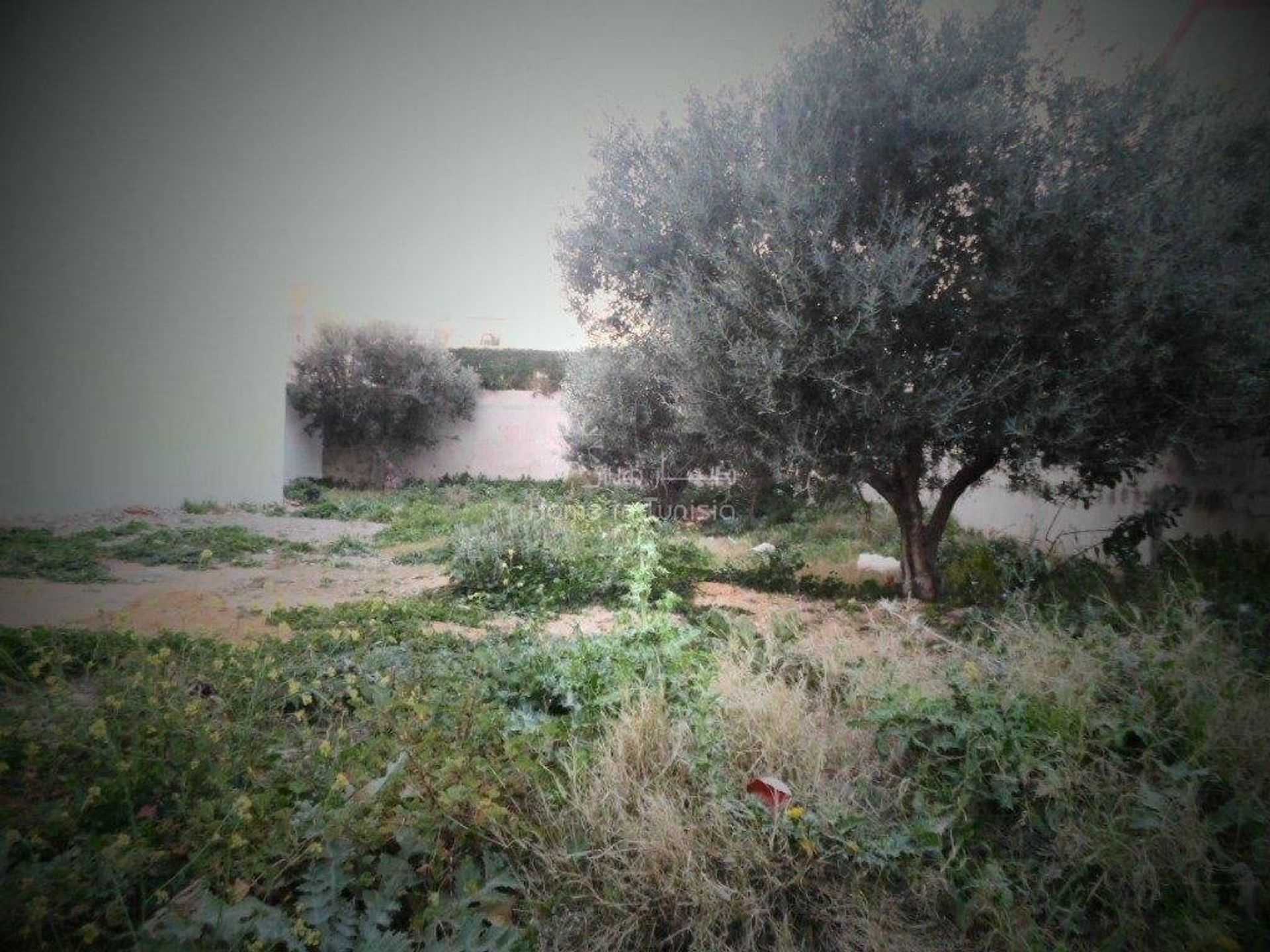 Land in حمام سوسة, Gouvernorat de Sousse 11276533