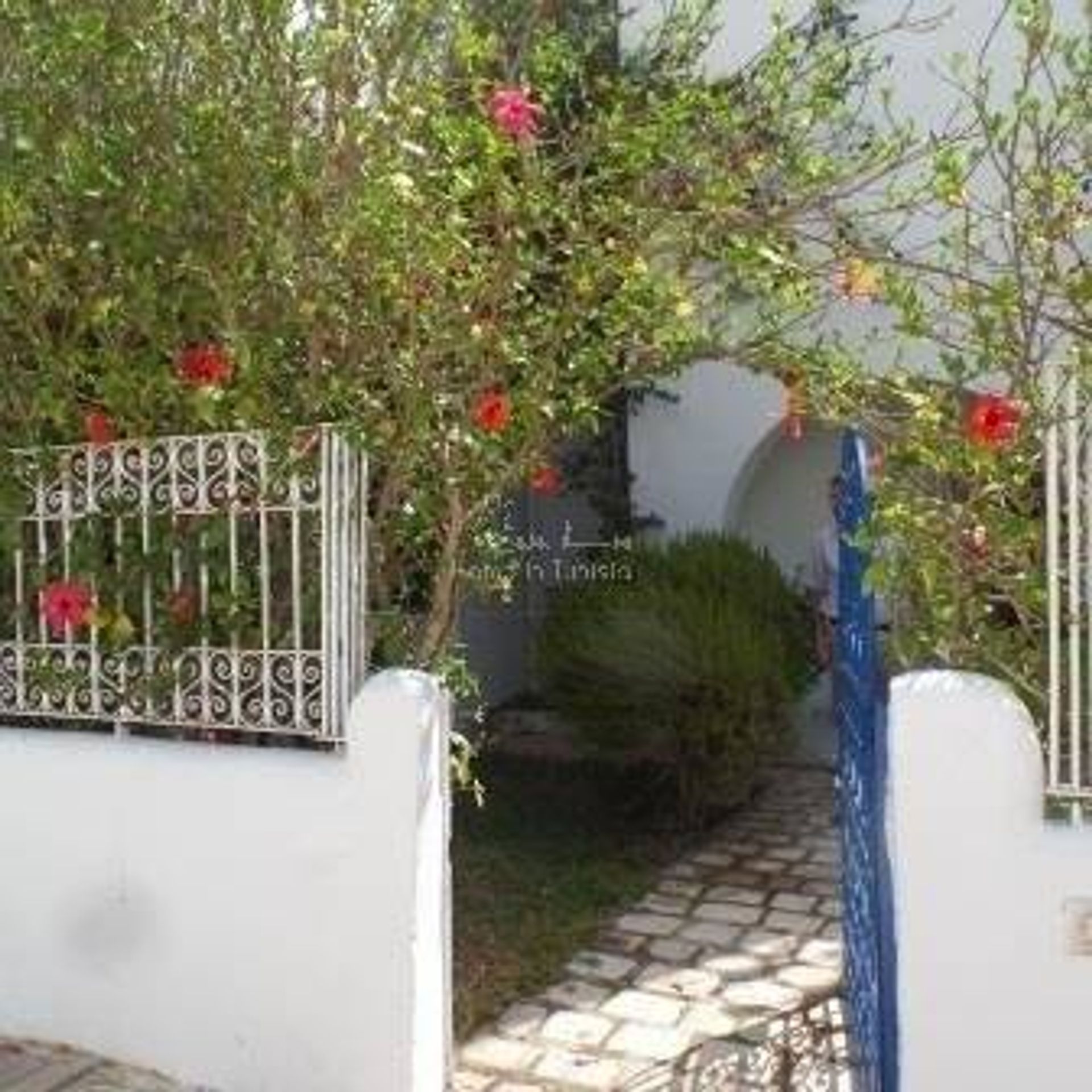 Condominium in Hammamet, Nabeul 11276550