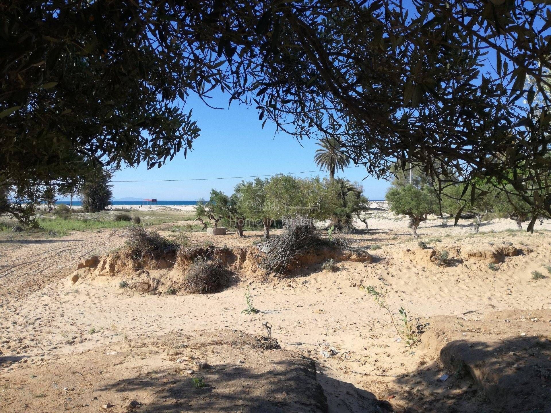 Land in Harqalah, Sousse 11276588