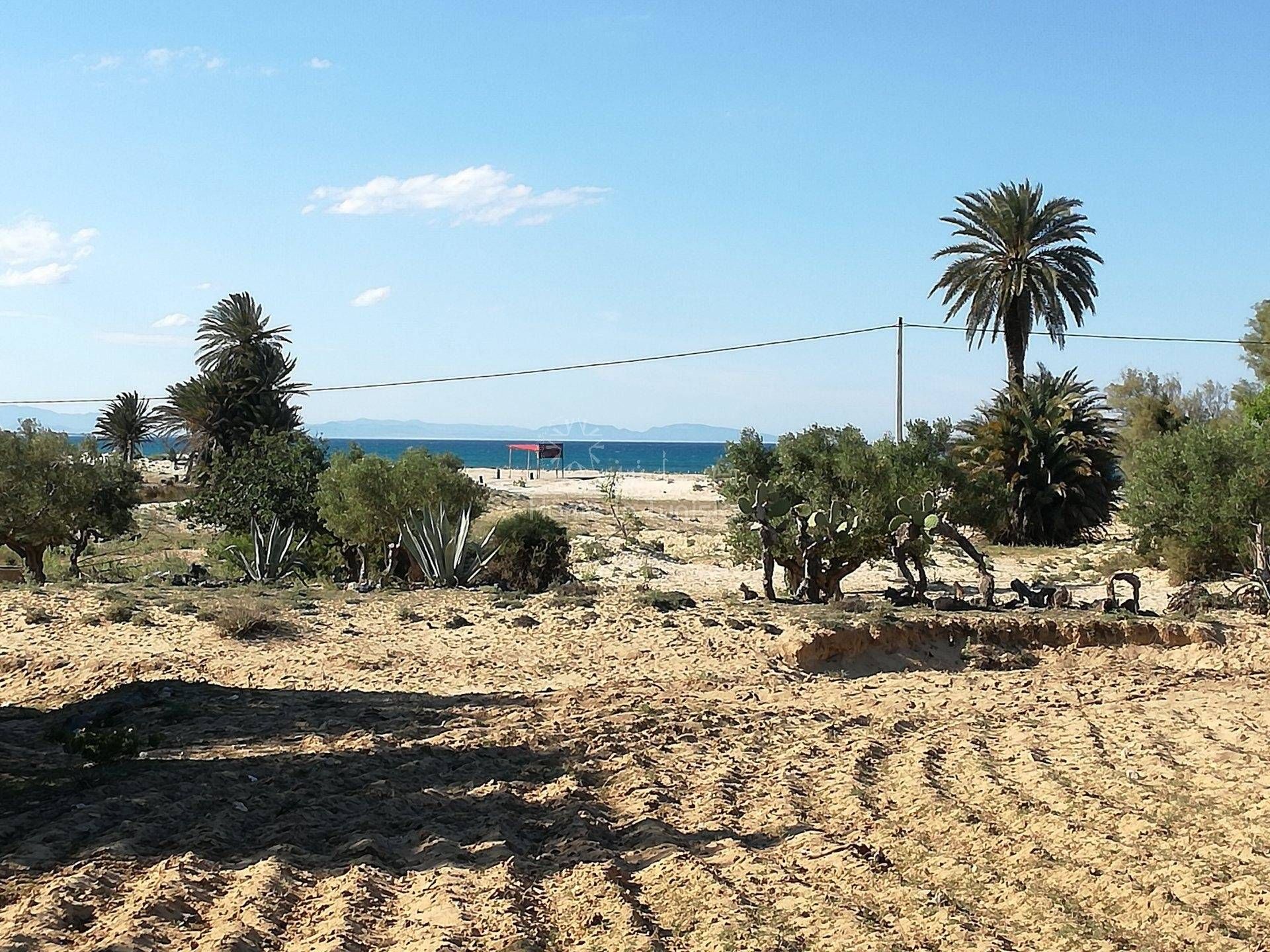 Land in Harqalah, Sousse 11276588