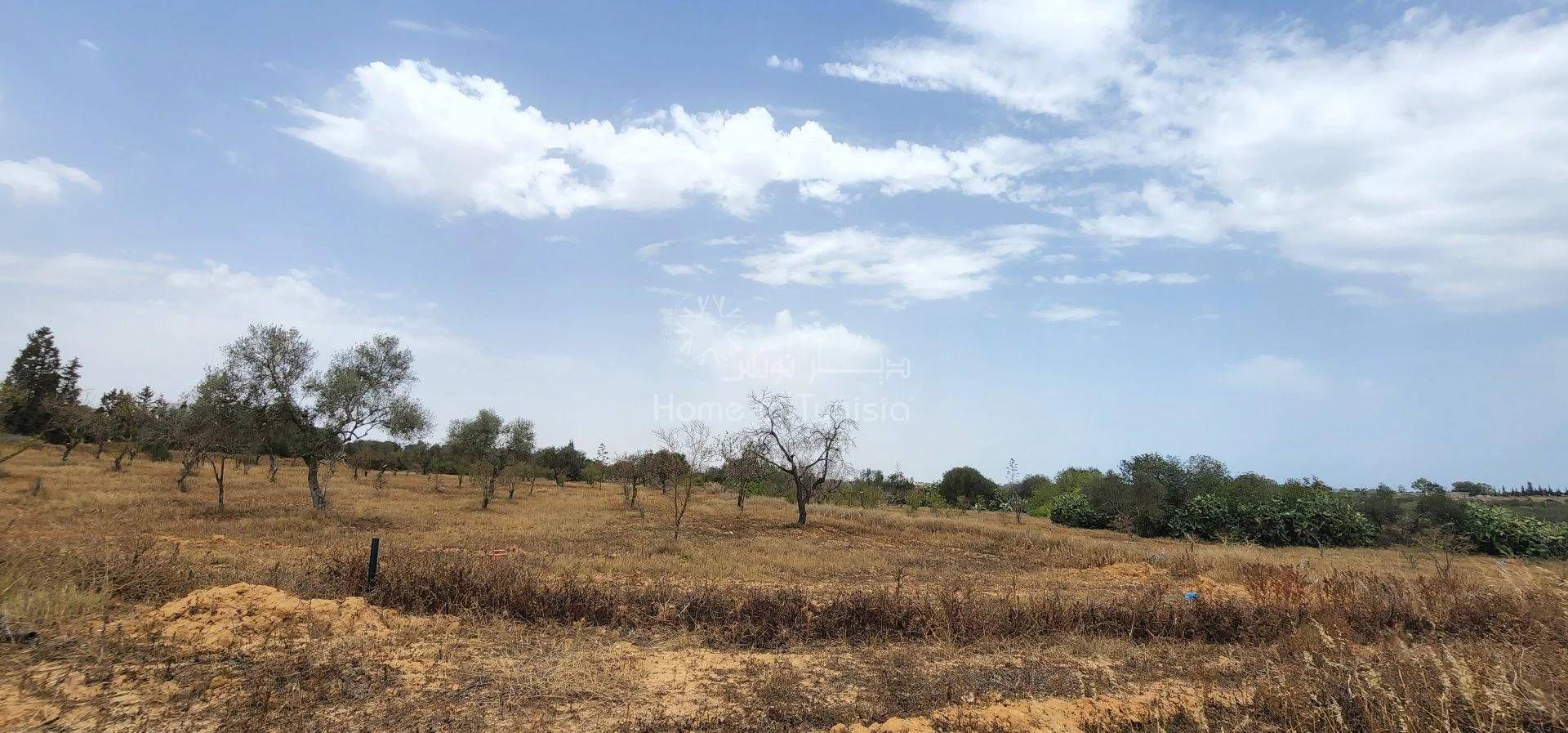 Land in Akouda, Sousse 11276650