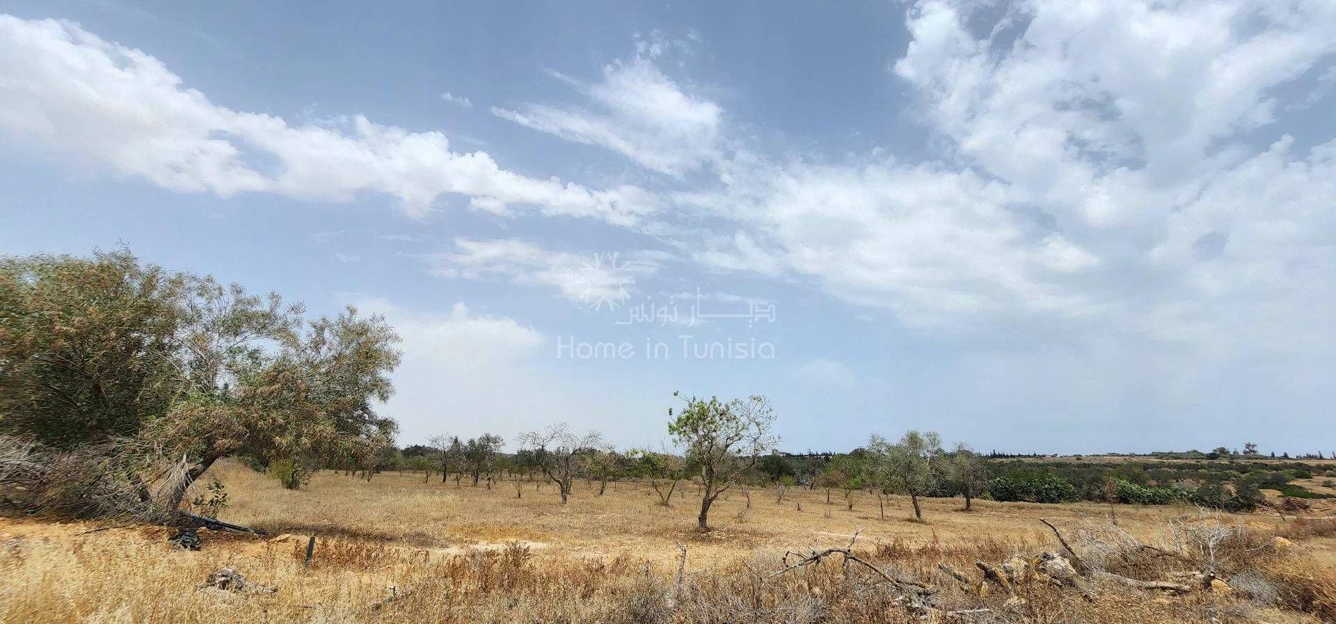 Land in Akouda, Sousse 11276650