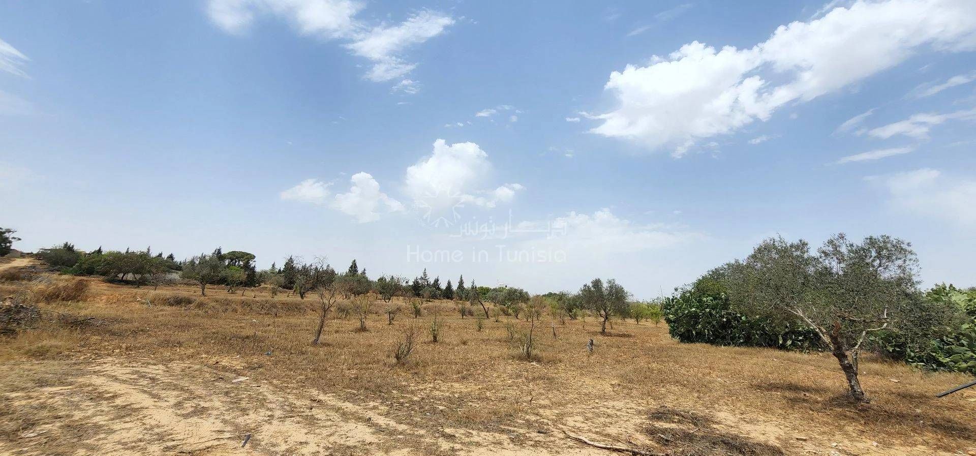 Land in Akouda, Sousse 11276650