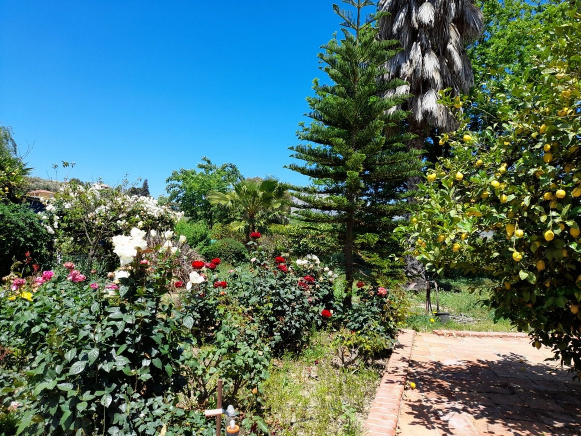 Huis in Álora, Andalucía 11277854