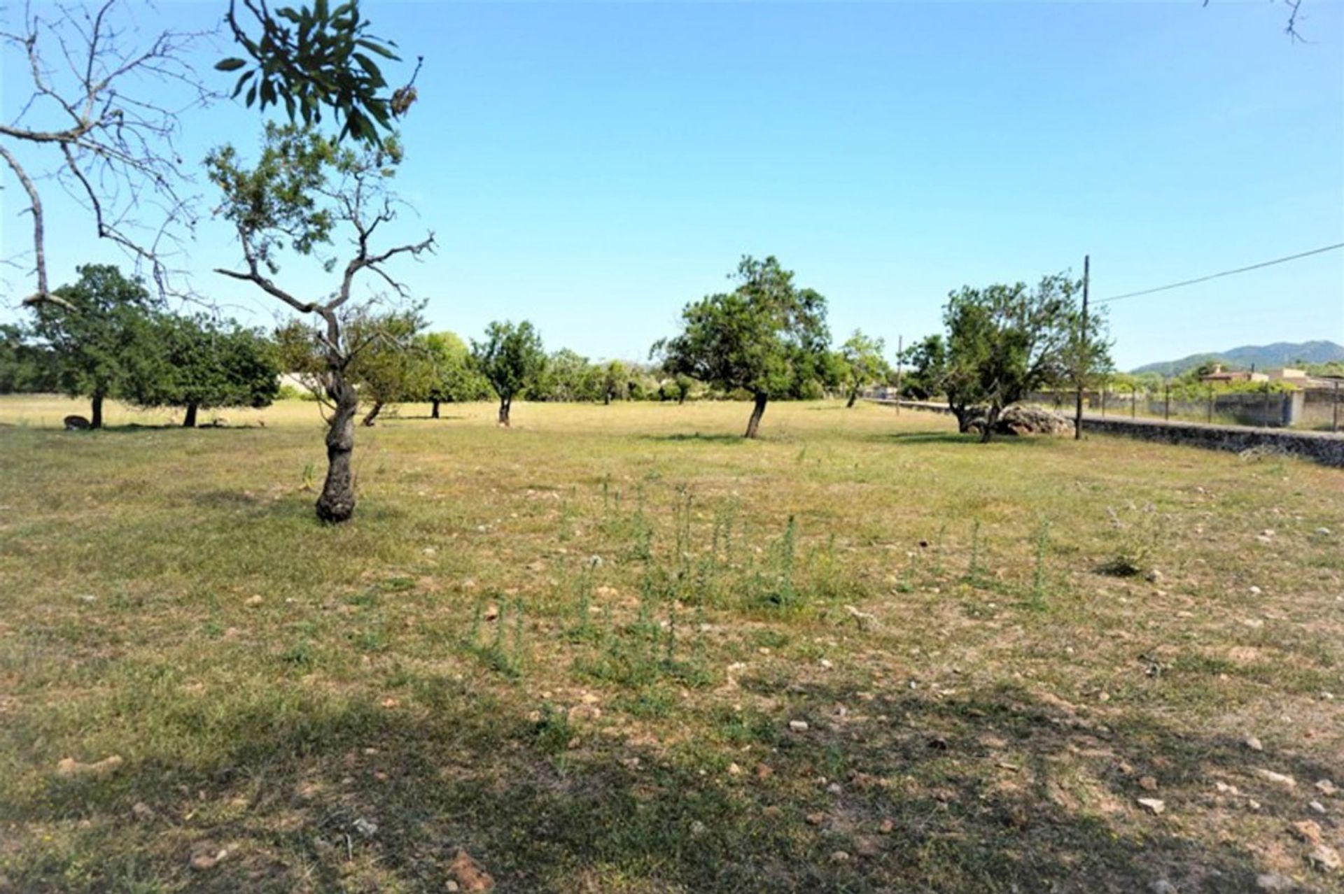 Tierra en Artá, Islas Baleares 11278454