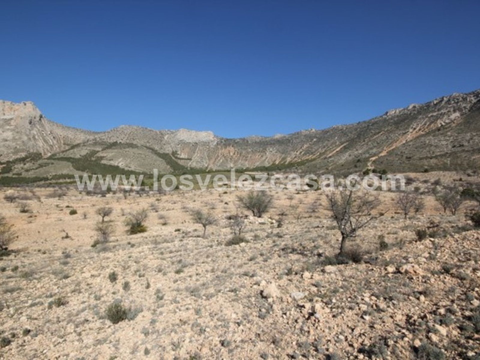 Land in Vélez-Blanco, Andalucía 11278540