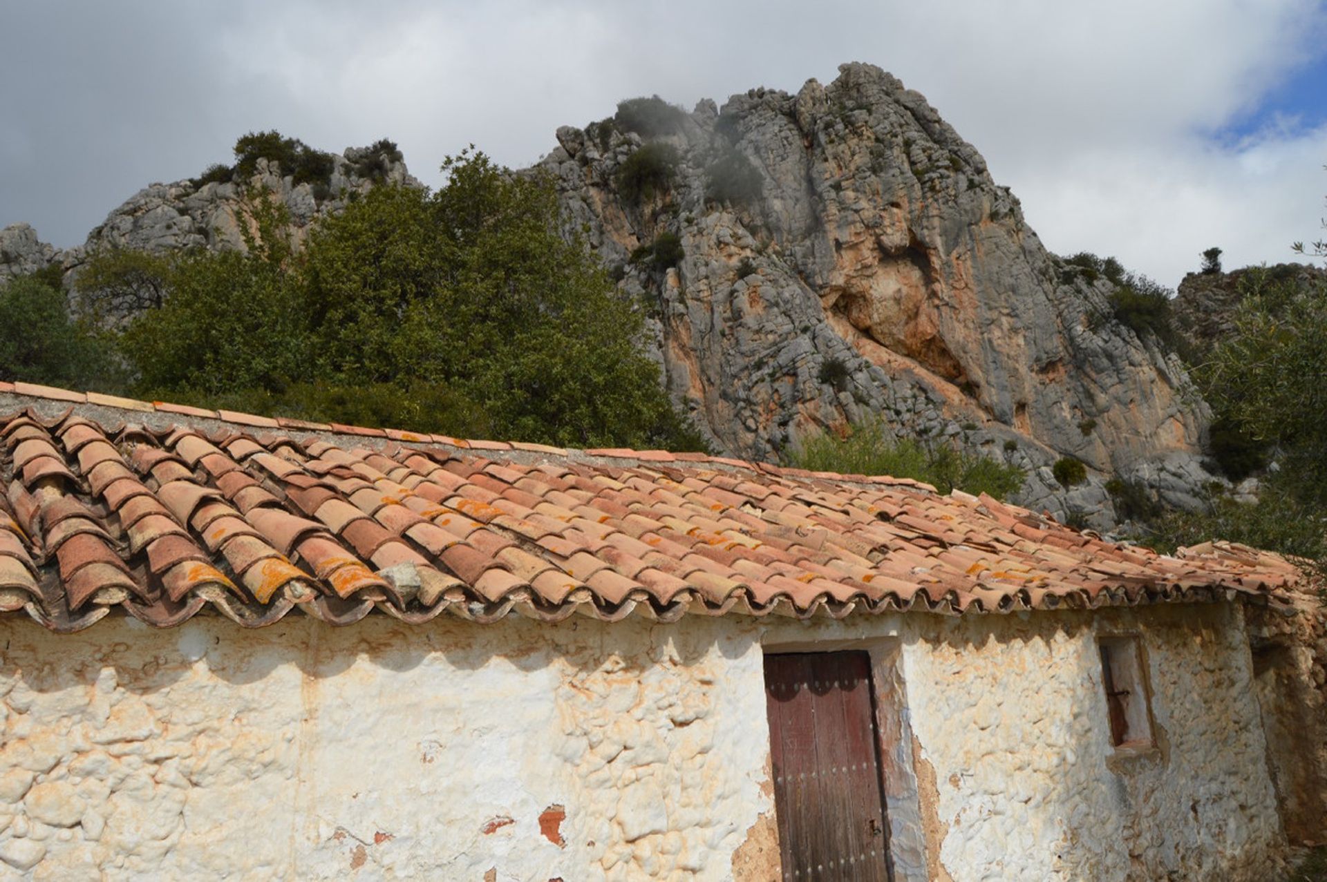 Terre dans Le Chorro, Andalousie 11278876