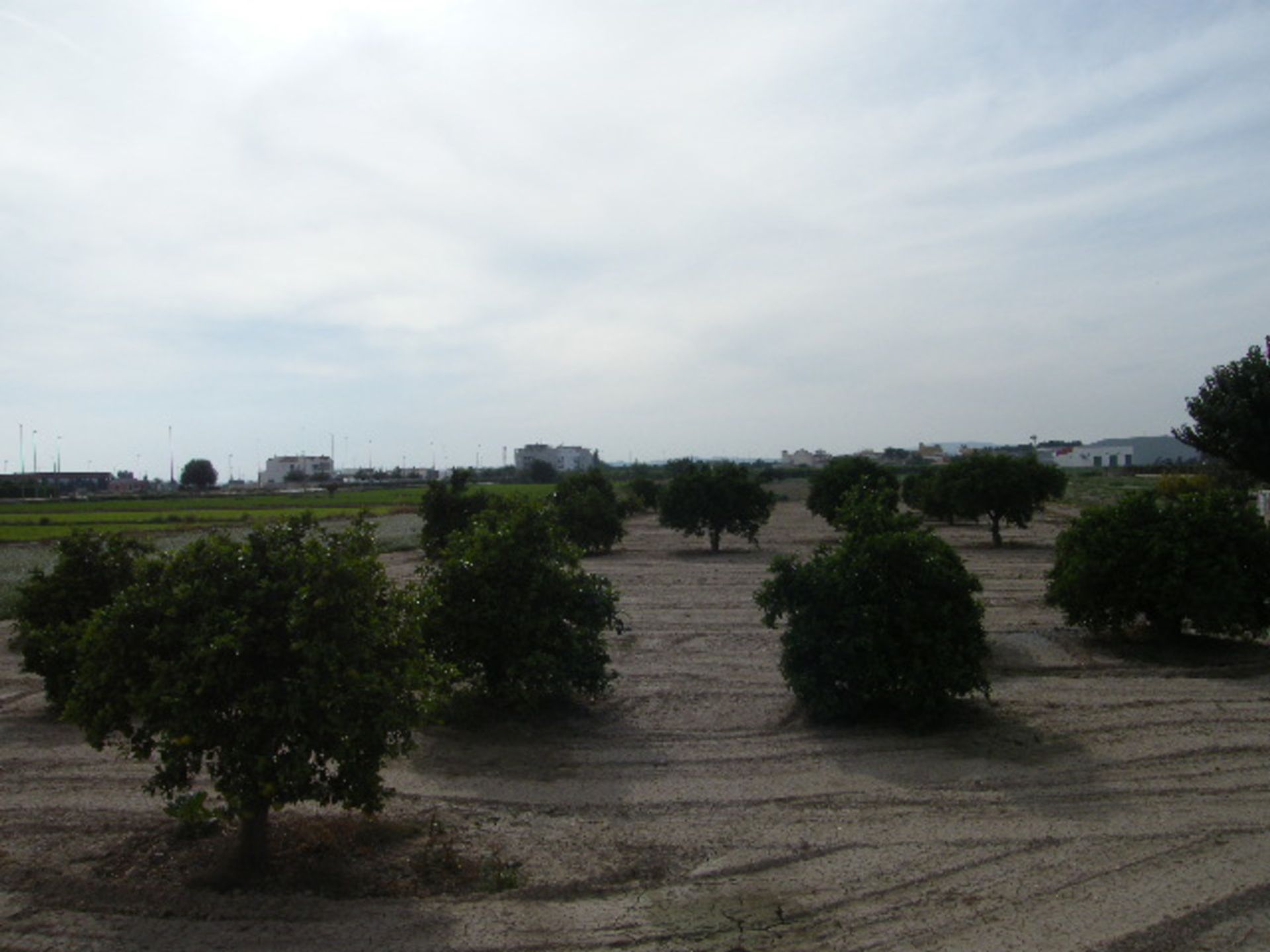 Tanah di El Nido, Valencia 11279503