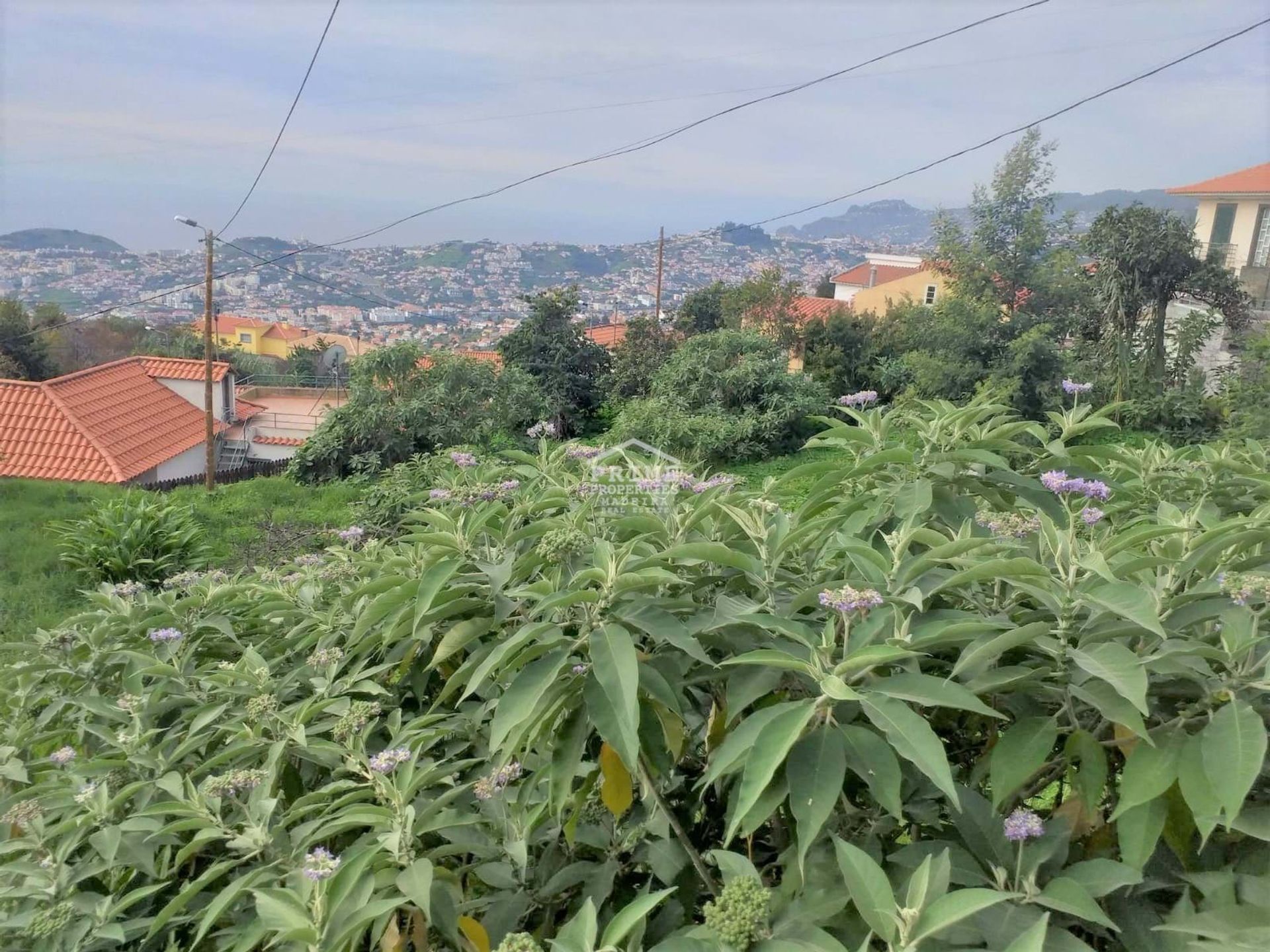 Tierra en Terreiro da Luta, Madeira 11279544