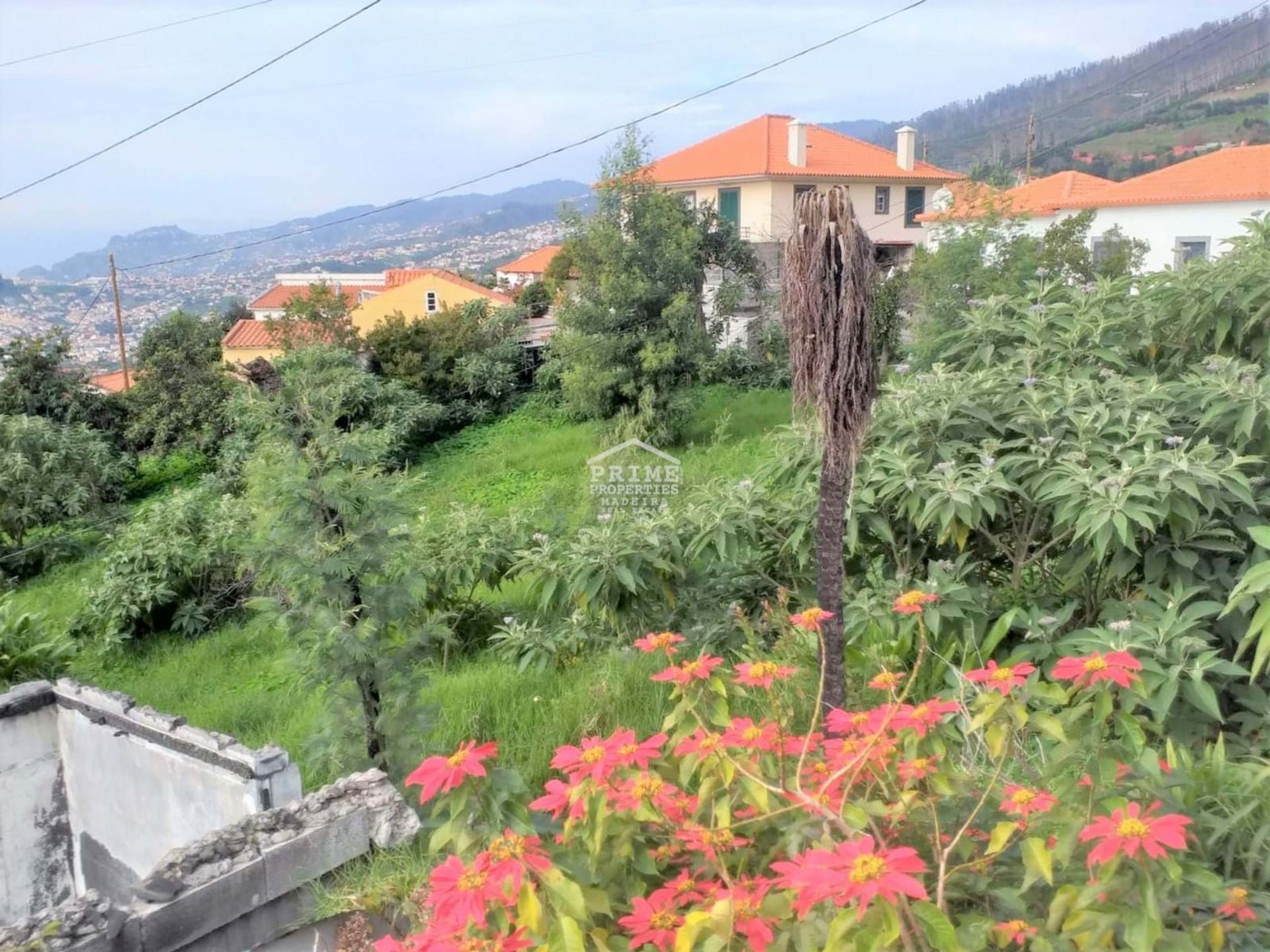 Tierra en Terreiro da Luta, Madeira 11279544