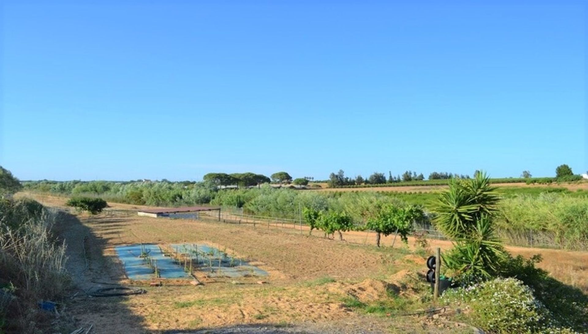 房子 在 Cartaya, Andalucía 11279561