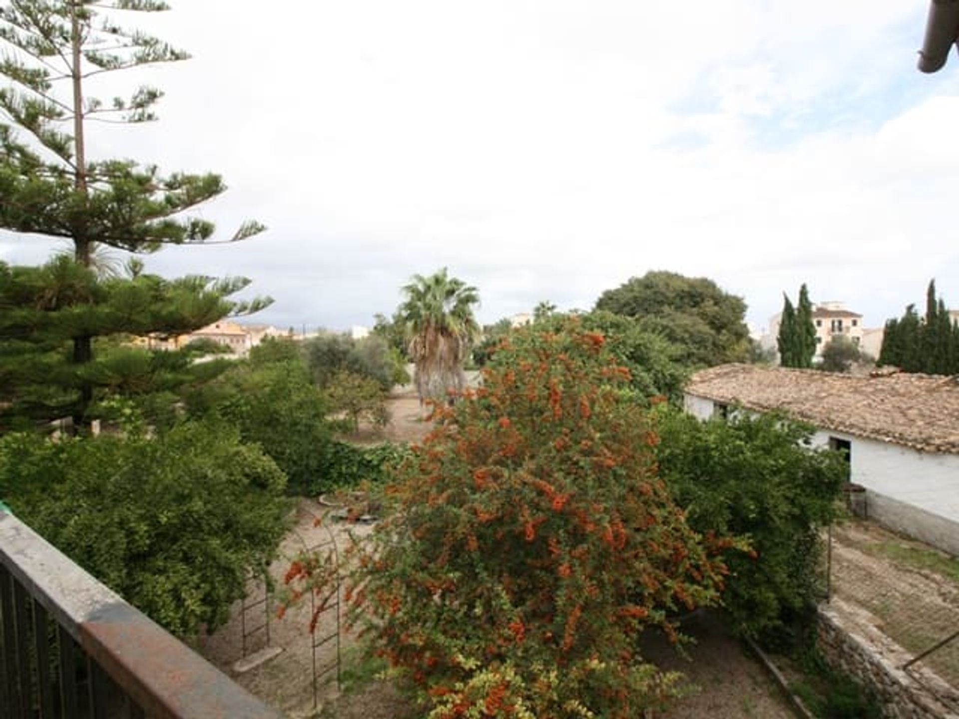 House in , Illes Balears 11279612