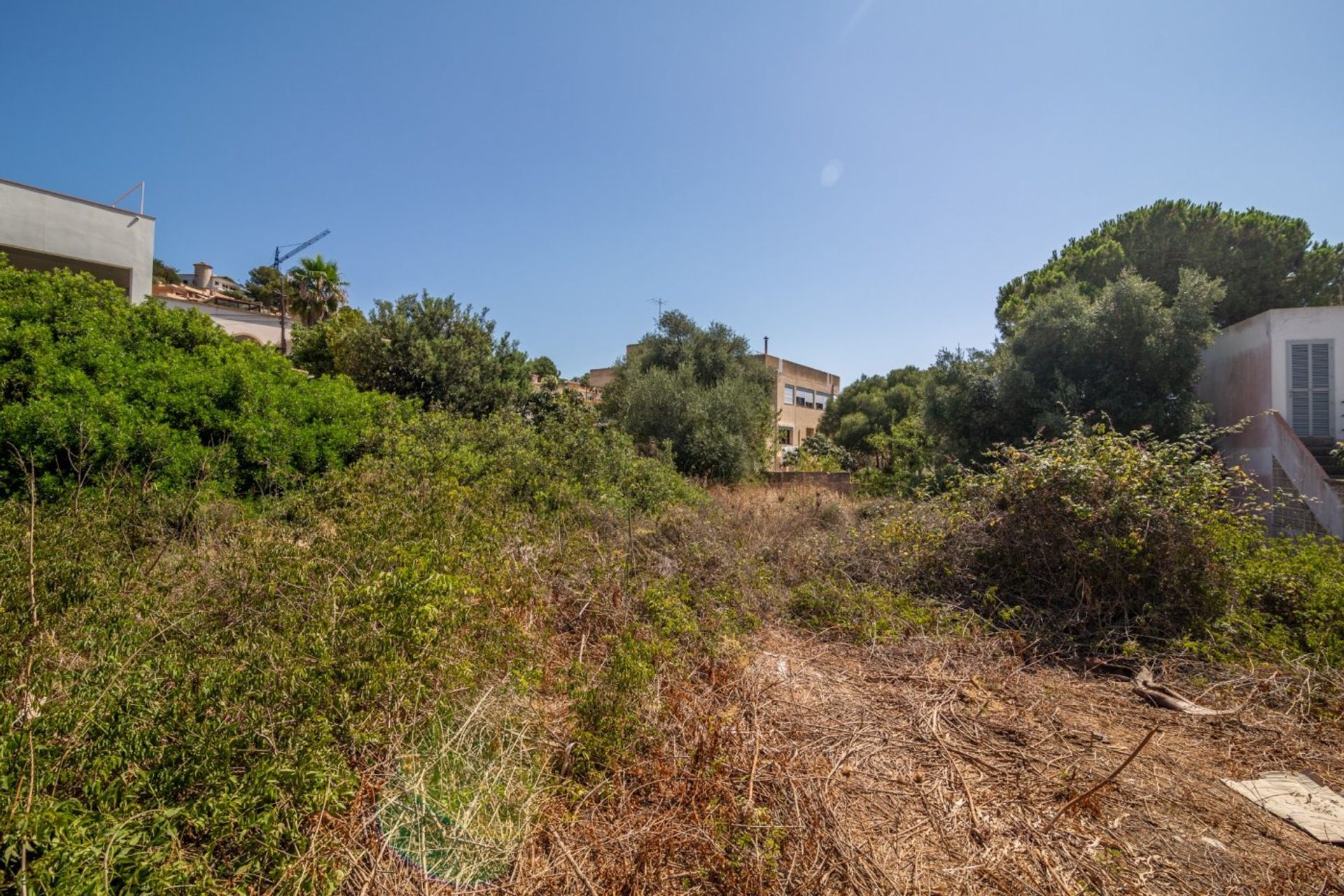 Land in Capdepera, Illes Balears 11282777