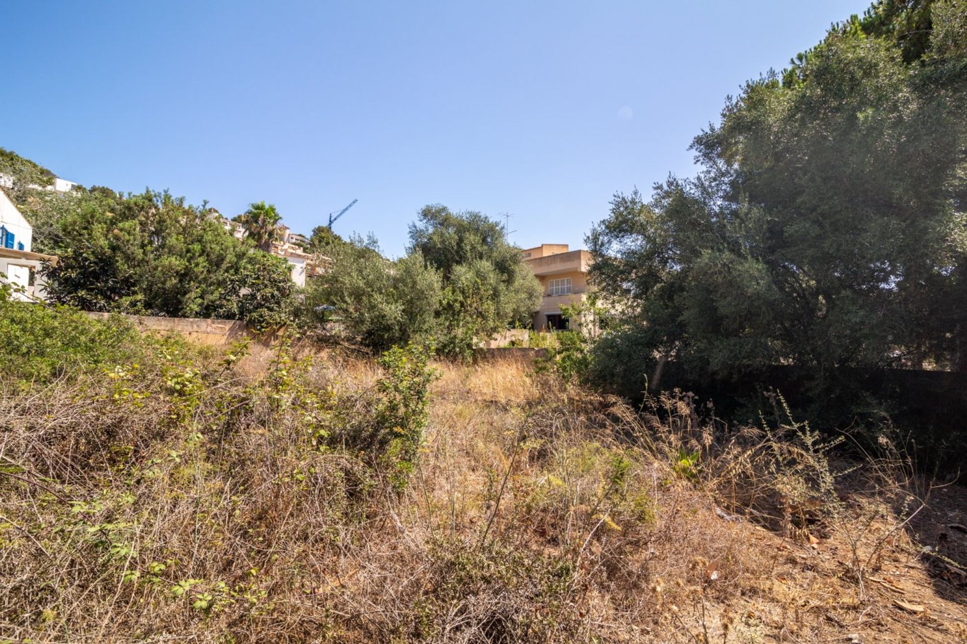 Land in Capdepera, Illes Balears 11282777