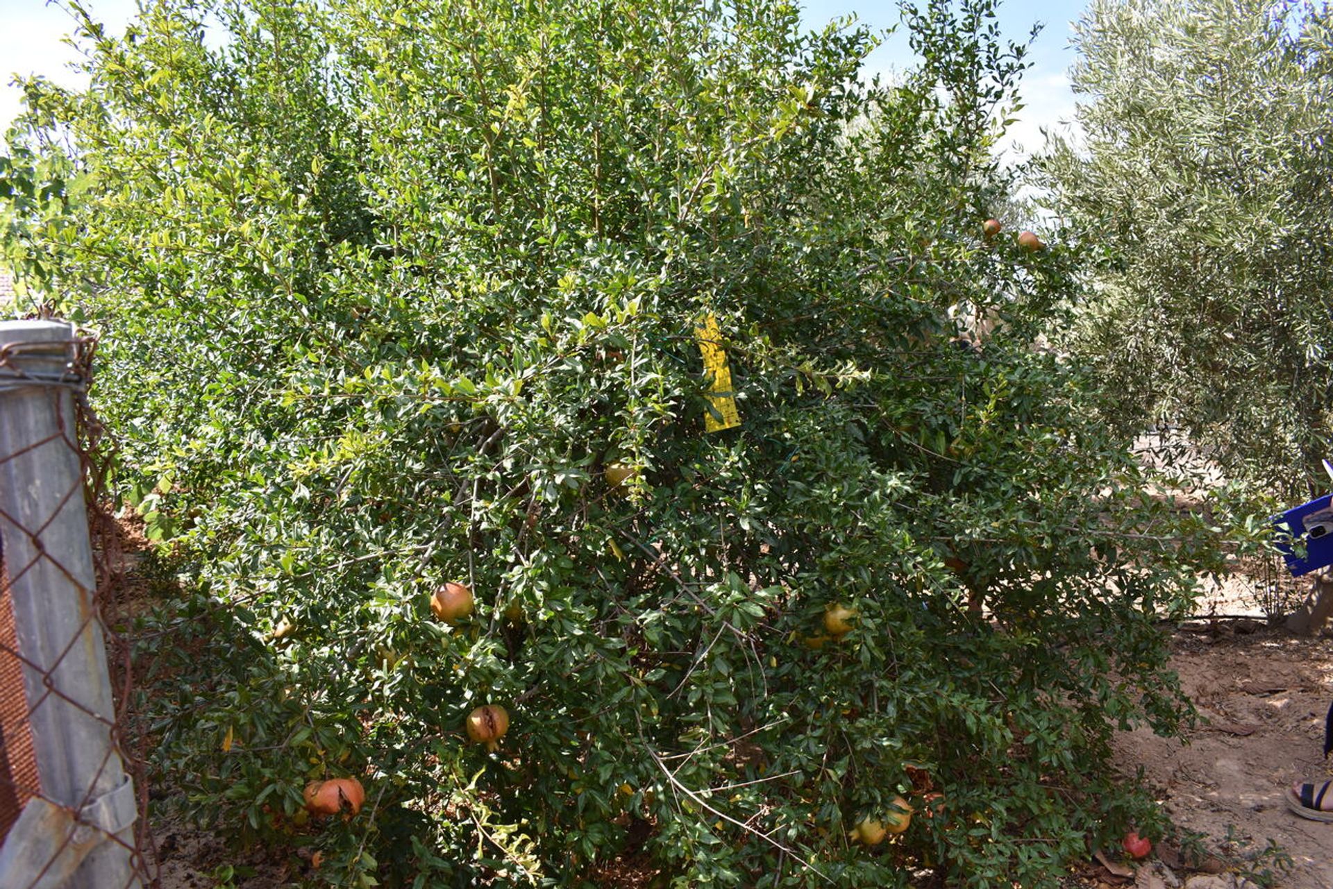 loger dans Paretón, Región de Murcia 11283004