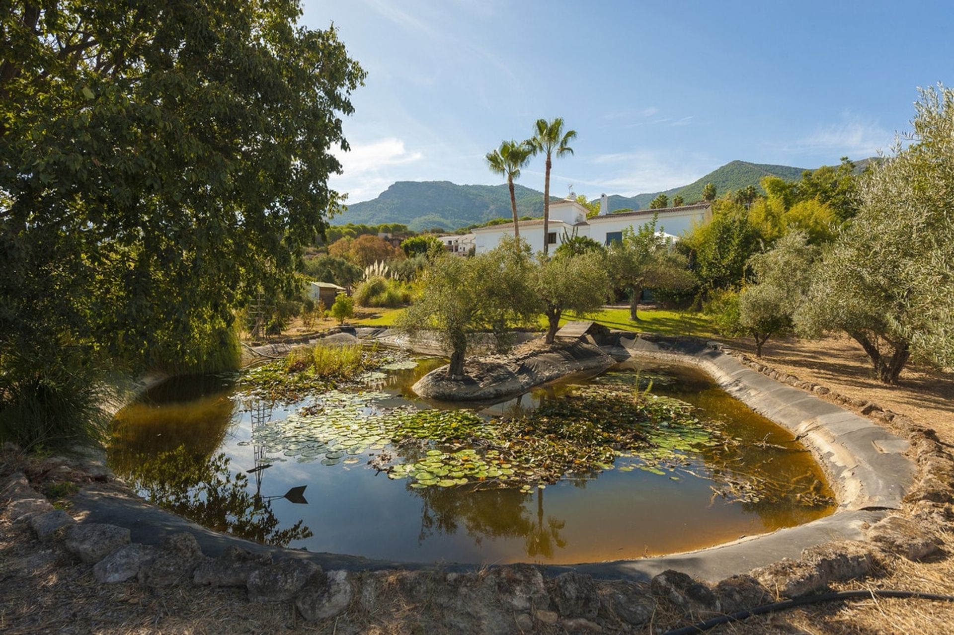 Casa nel Alhaurín el Grande, Andalucía 11283670