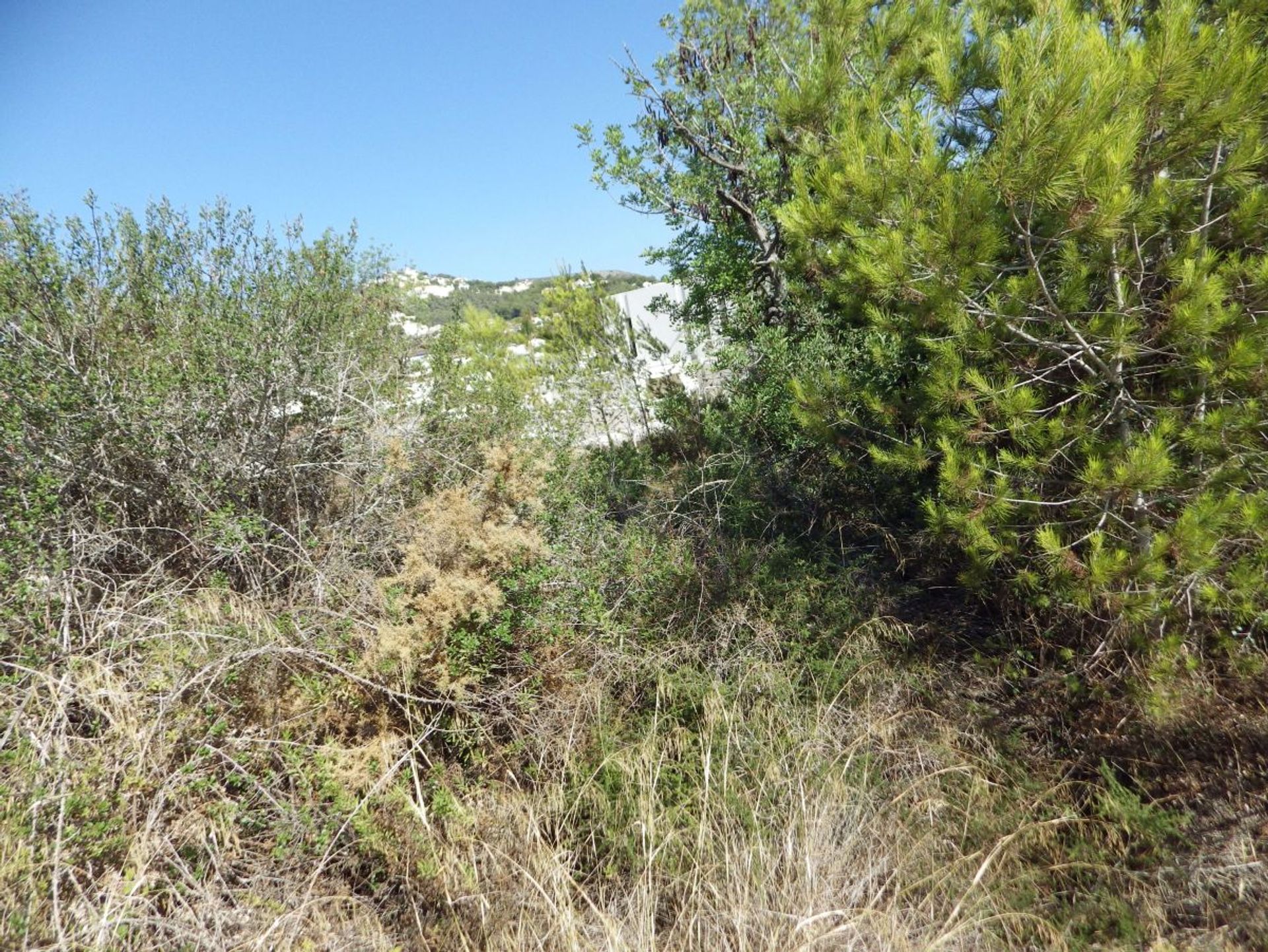 Terre dans Morayra, les îles Canaries 11284212