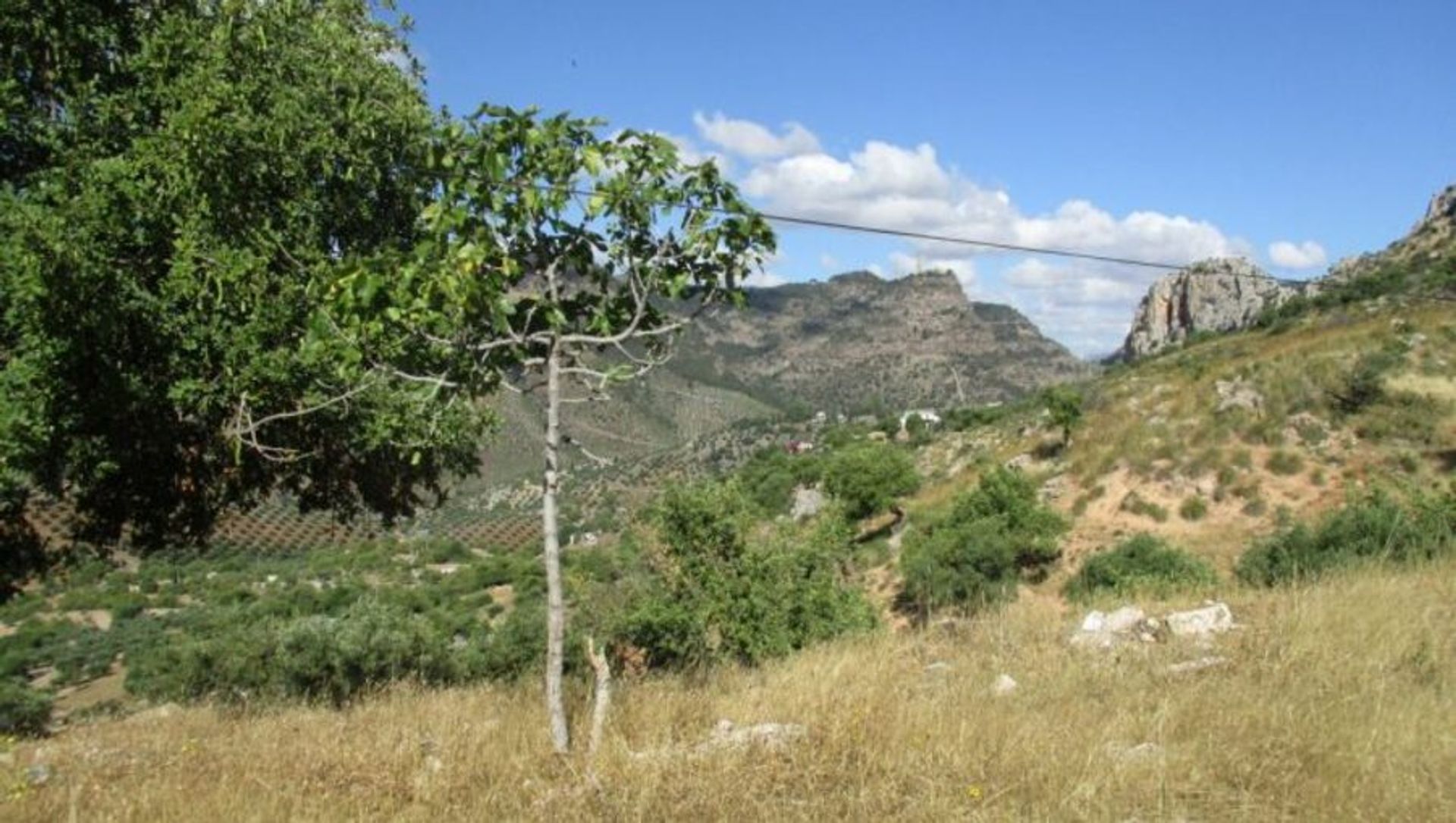 House in , Andalucía 11285178