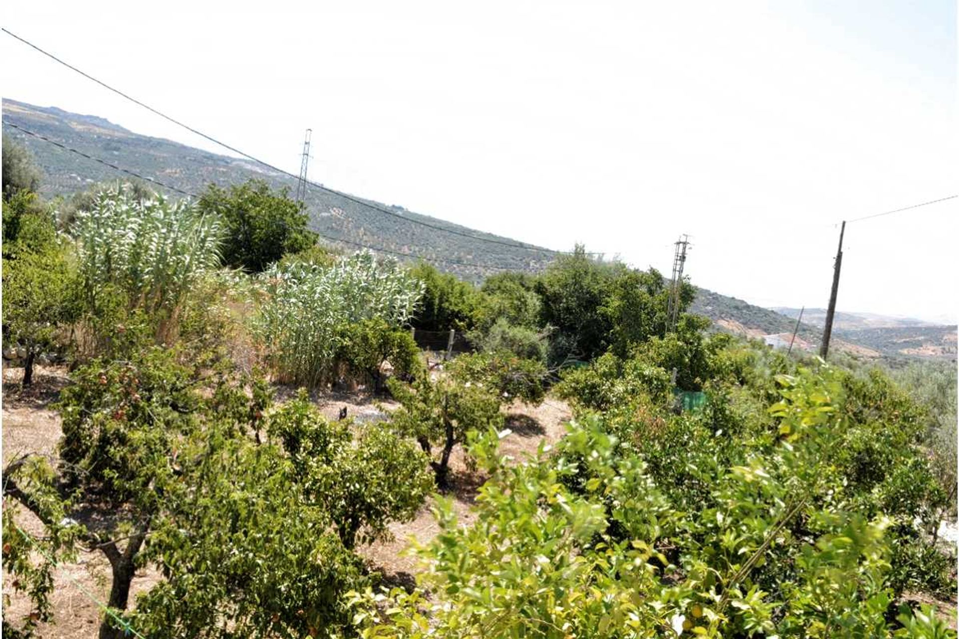 House in Periana, Andalucía 11285376