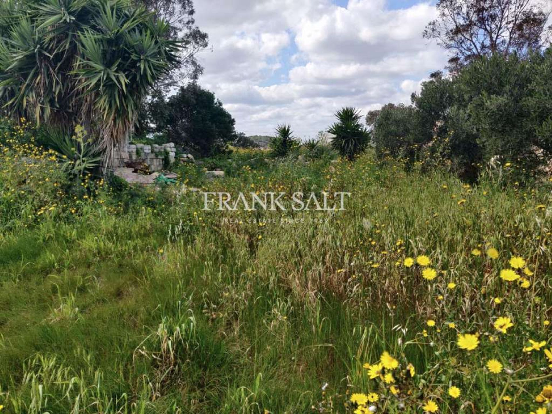 House in Saint Paul's Bay,  11285598