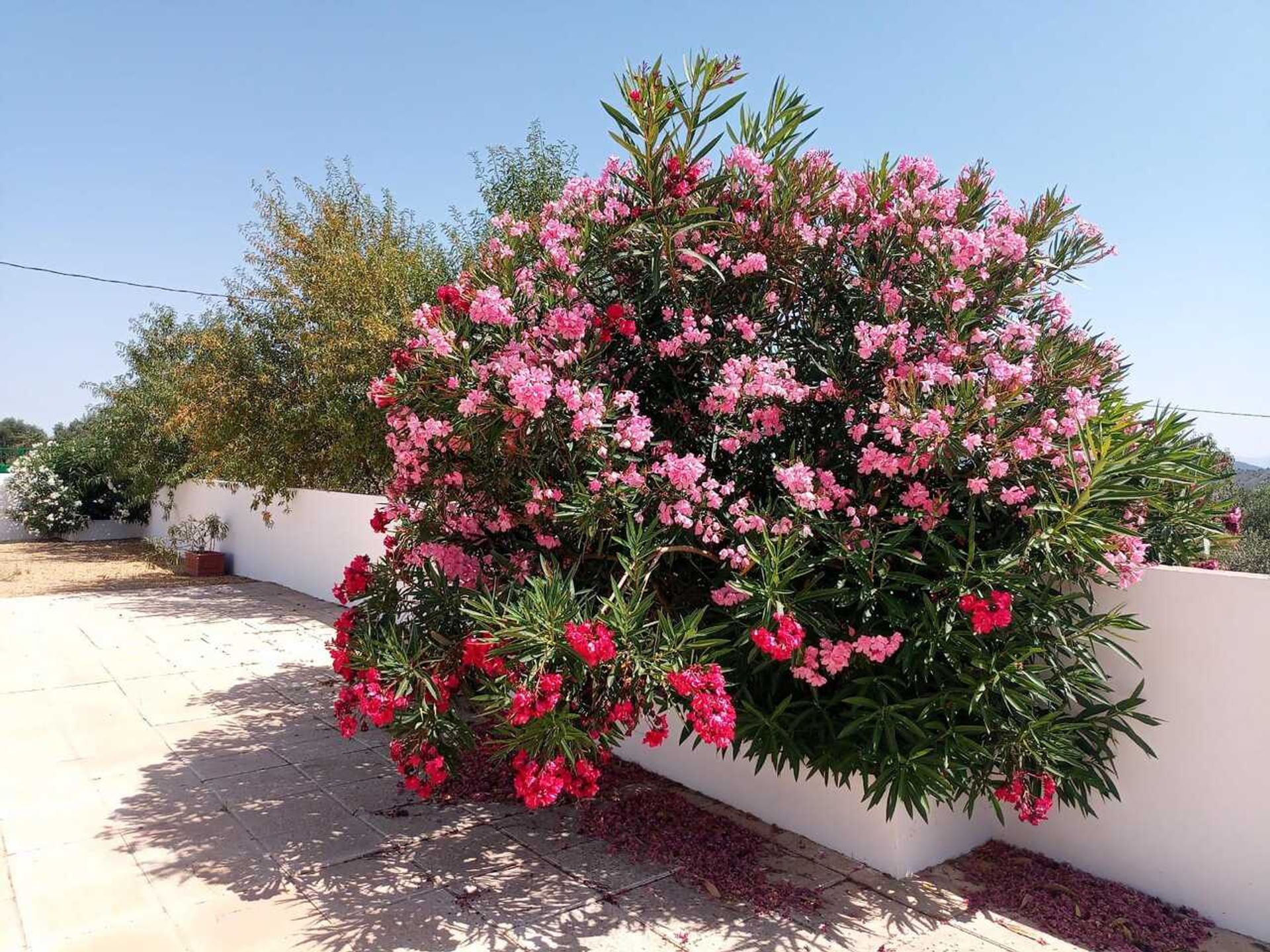 rumah dalam Oria, Andalucía 11285965