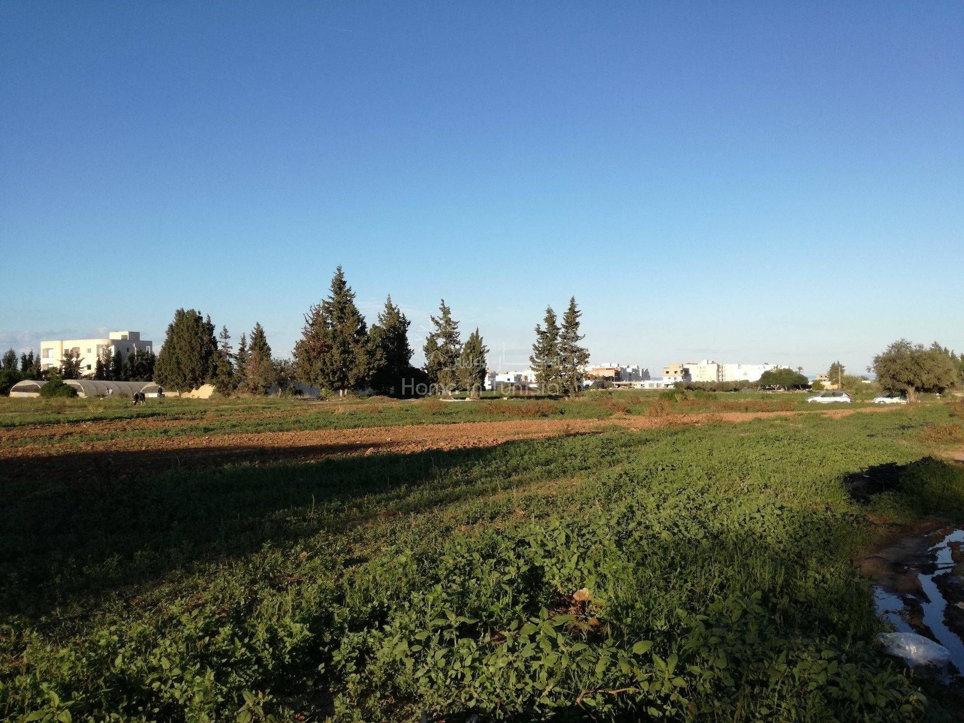 Land in El Haj Mohammed Zarrouch, Sousse 11286303