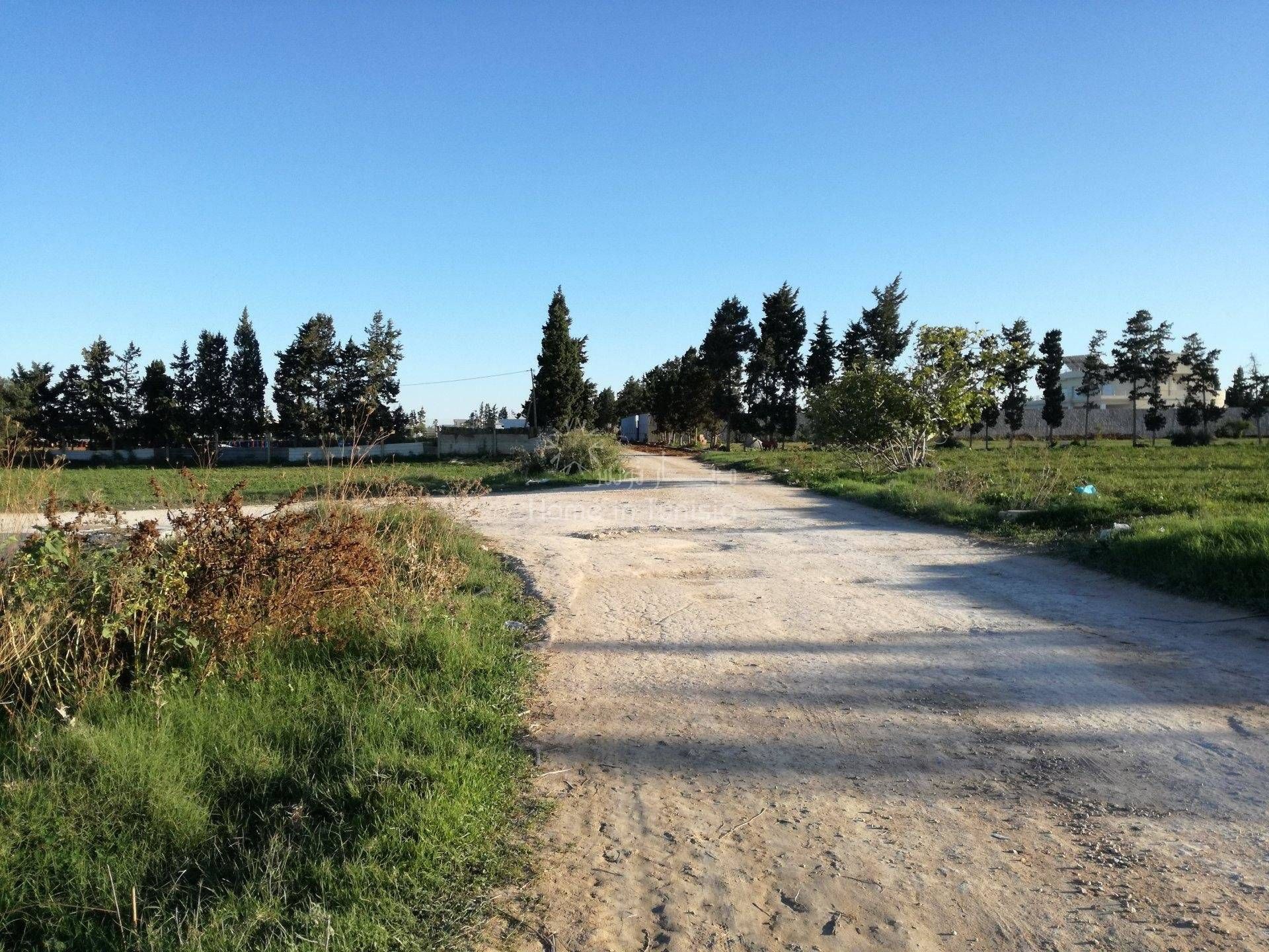 Land in El Haj Mohammed Zarrouch, Sousse 11286303