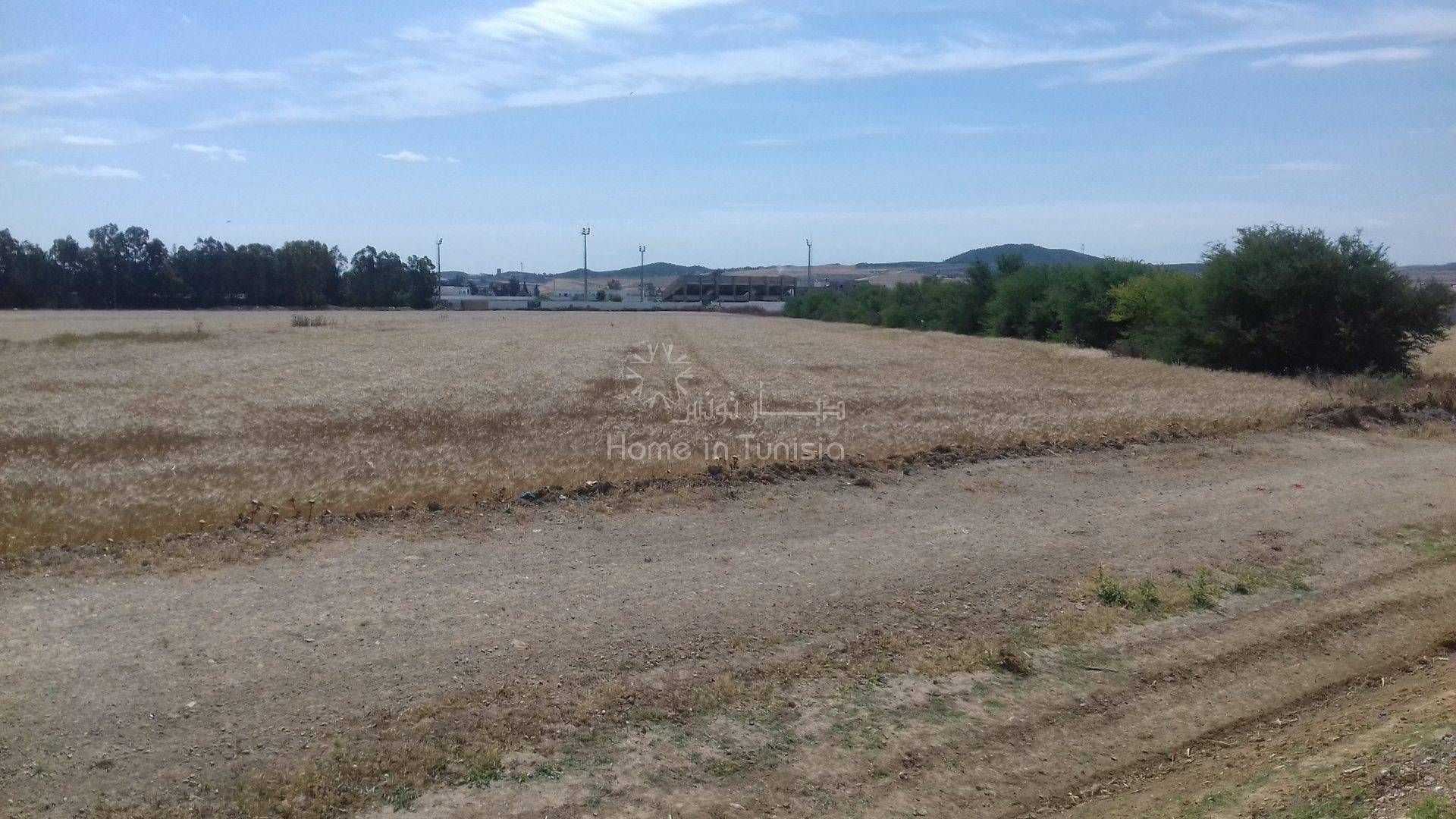 Land in , Beja 11286456