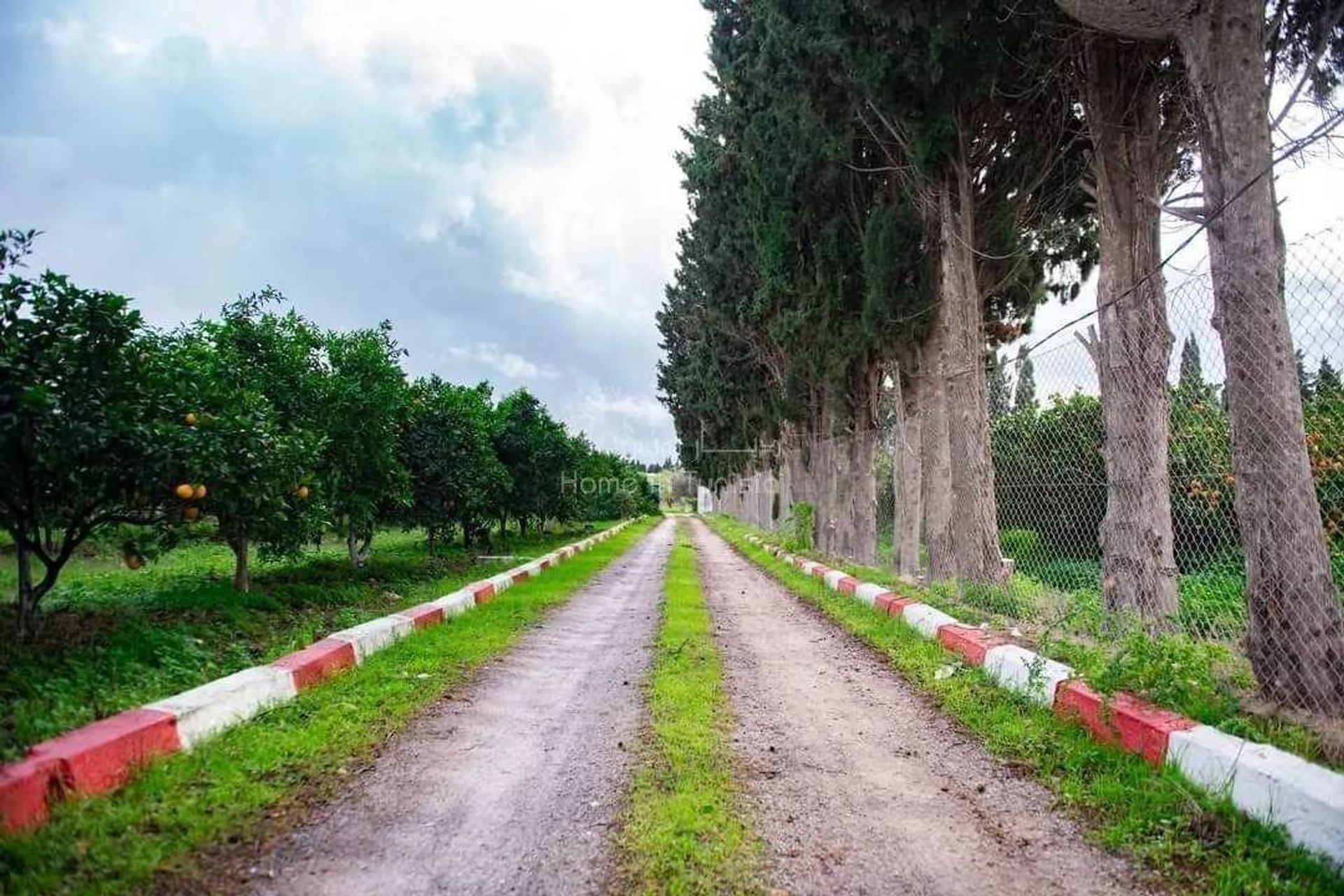 σπίτι σε Manzil Bu Zalafah, Nabeul 11286497